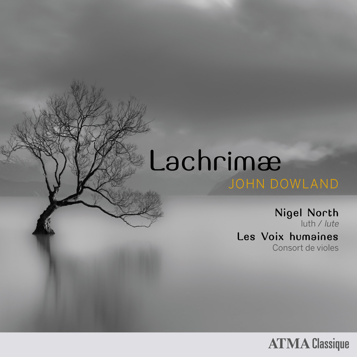 Cover: Lachrimae