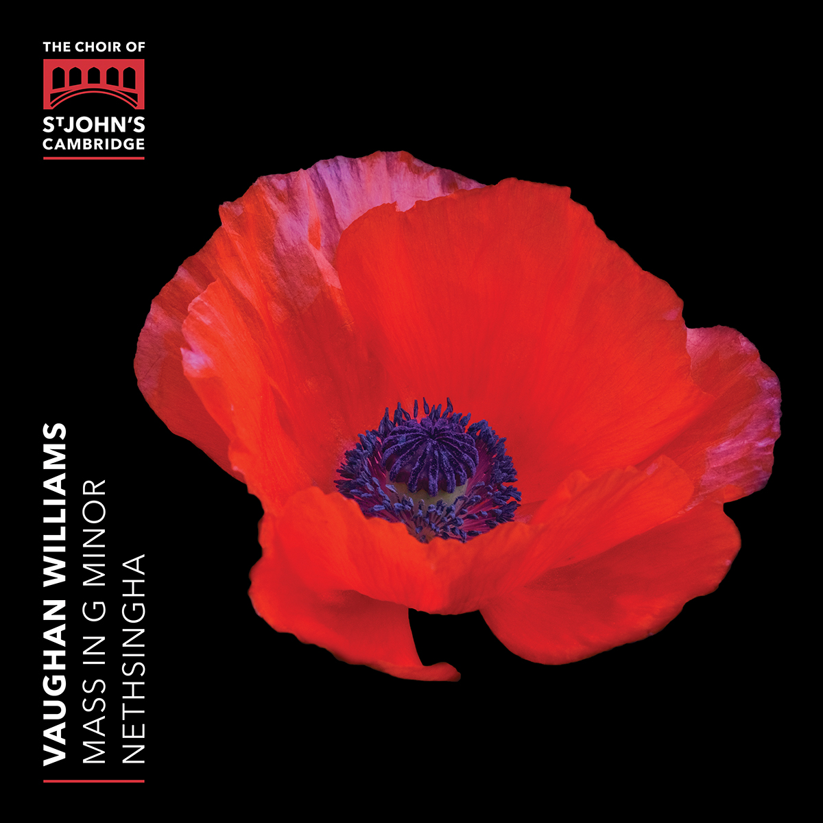 Cover: Mass in G Minor