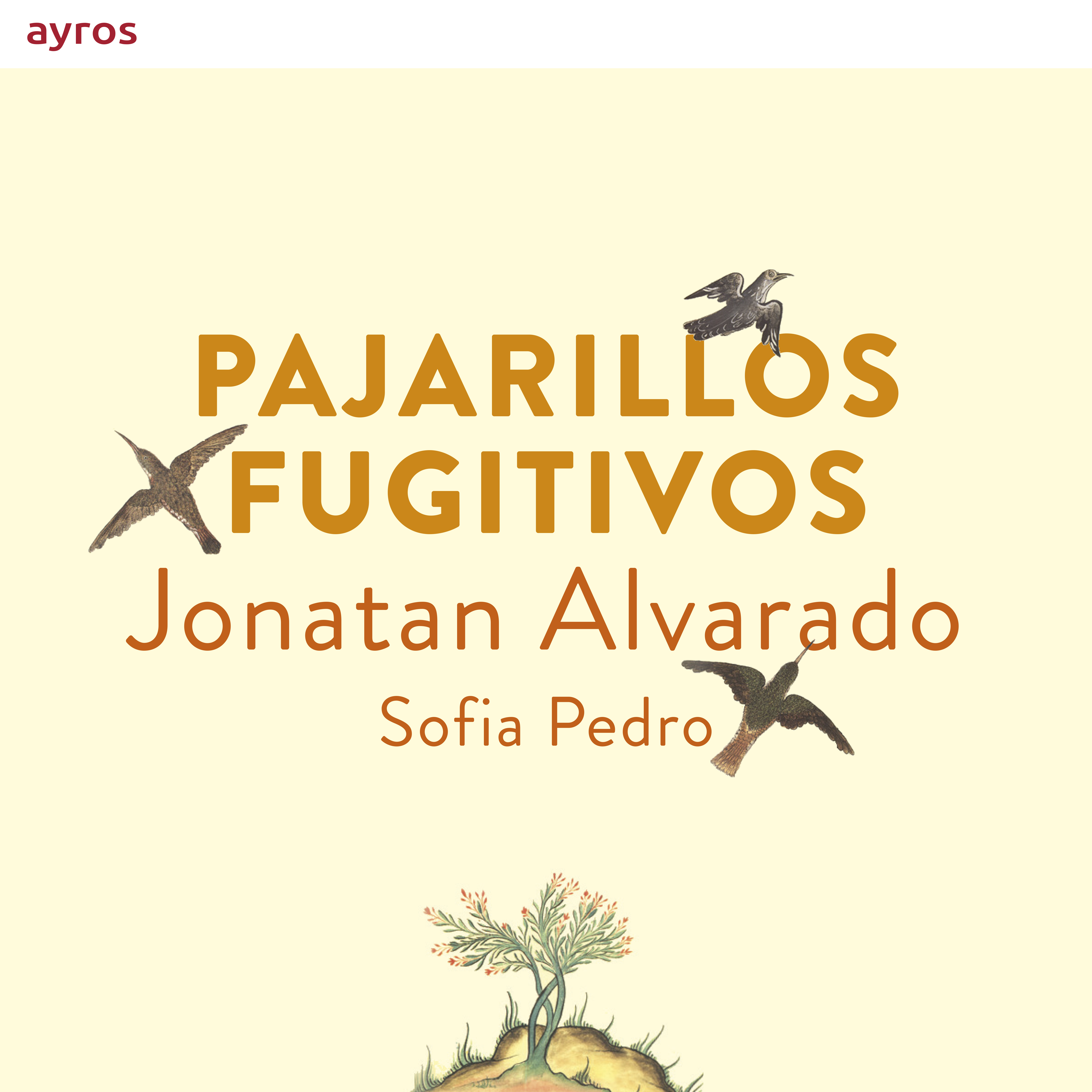 Cover: Pajarillos fugitivos