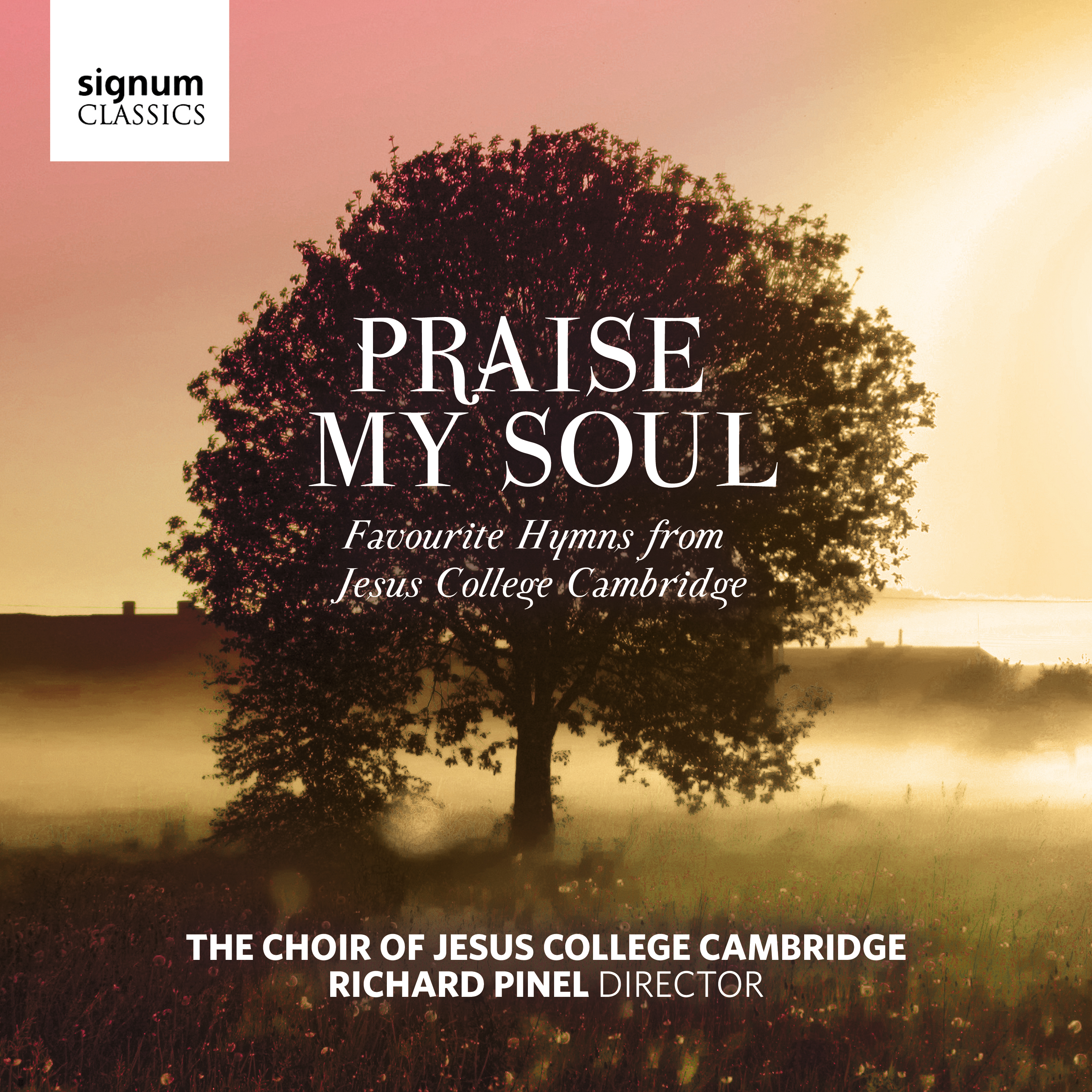Cover: Praise my soul