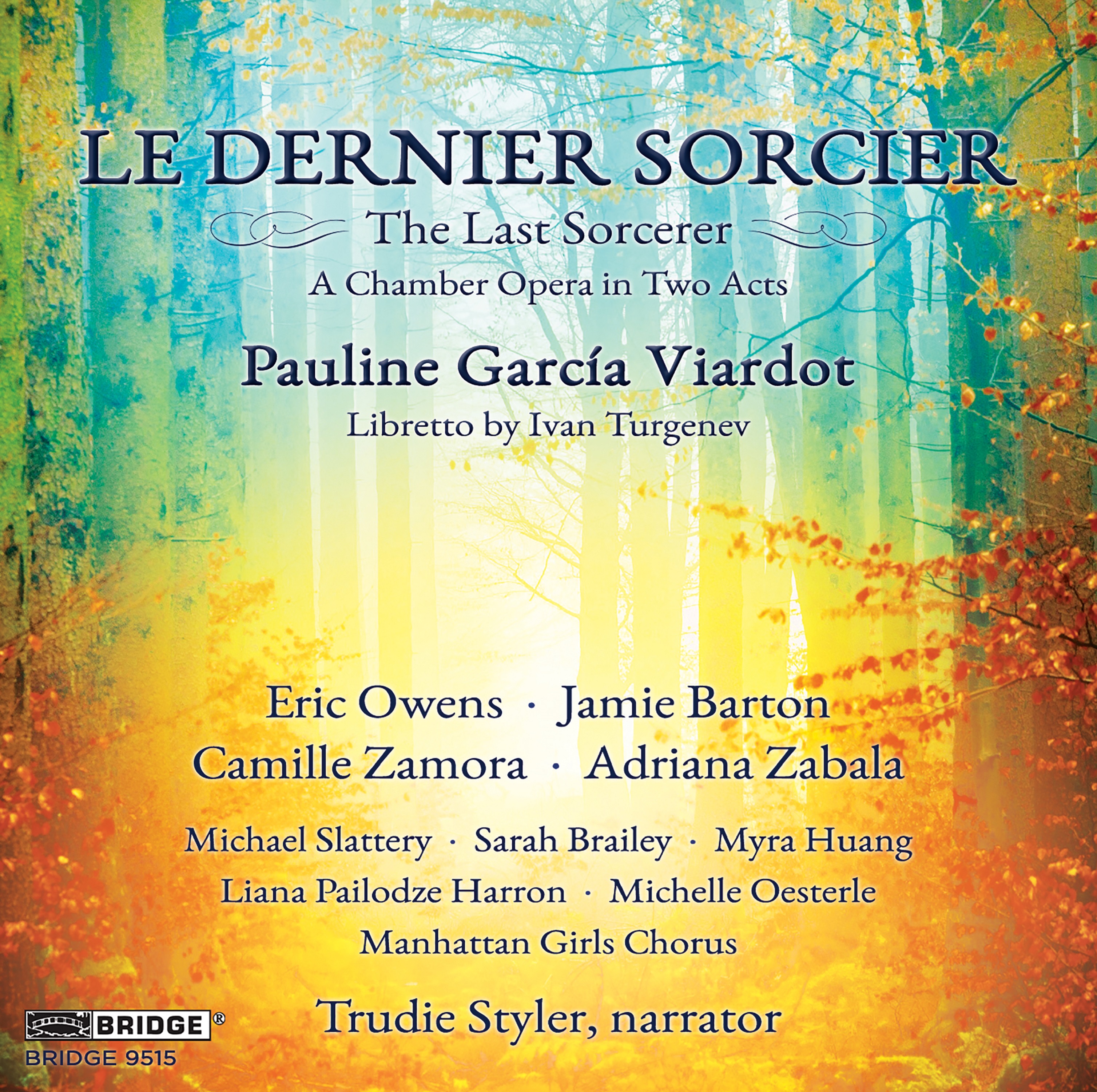 Cover: Le Dernier Sorcier
