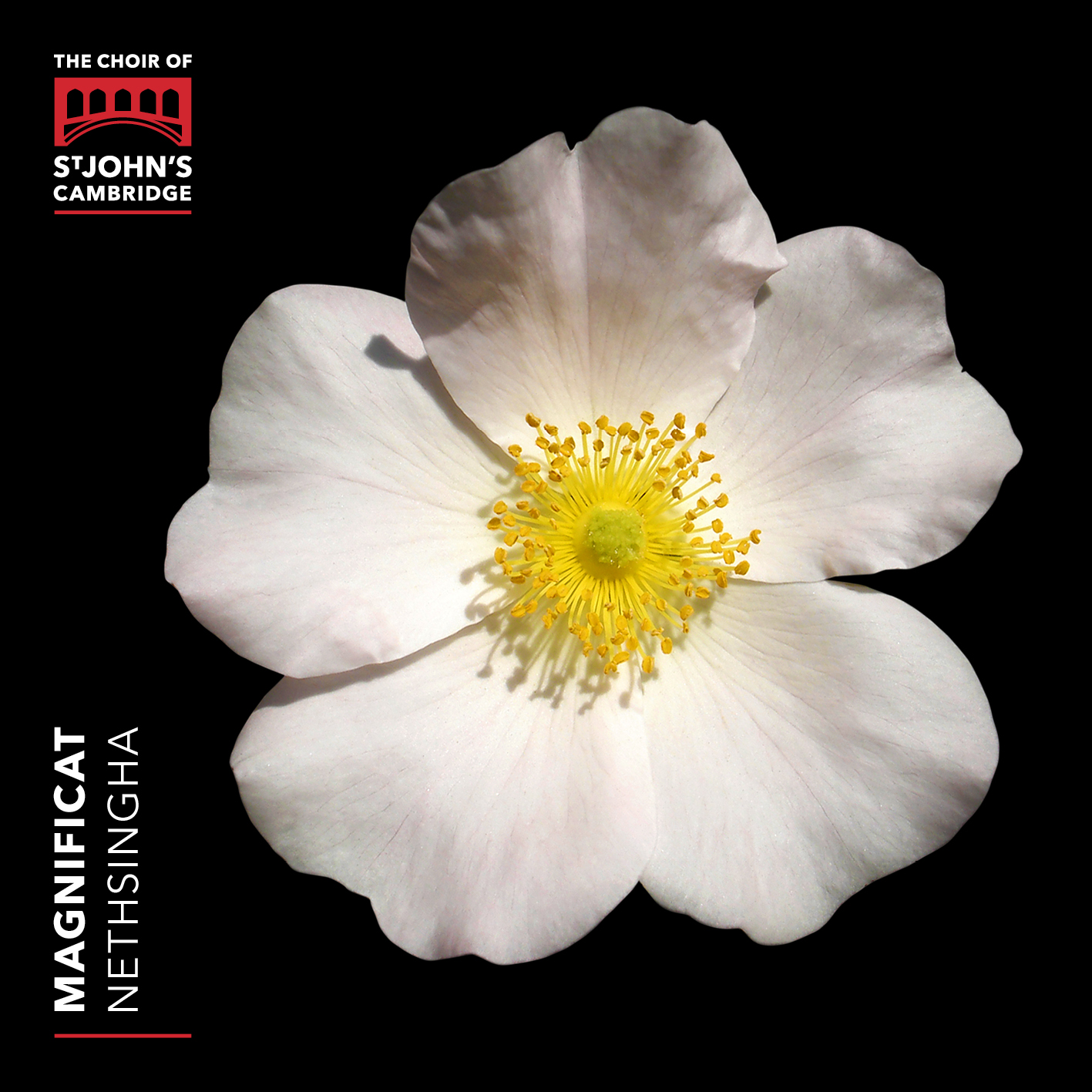Cover: Magnificat