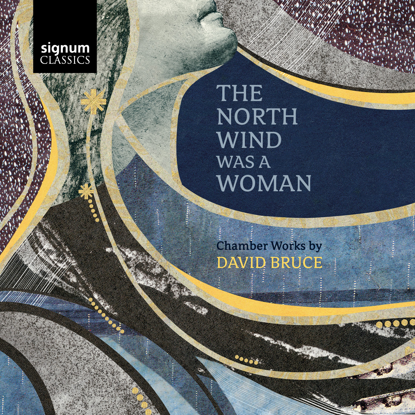 Cover: The North Wind Was a Woman