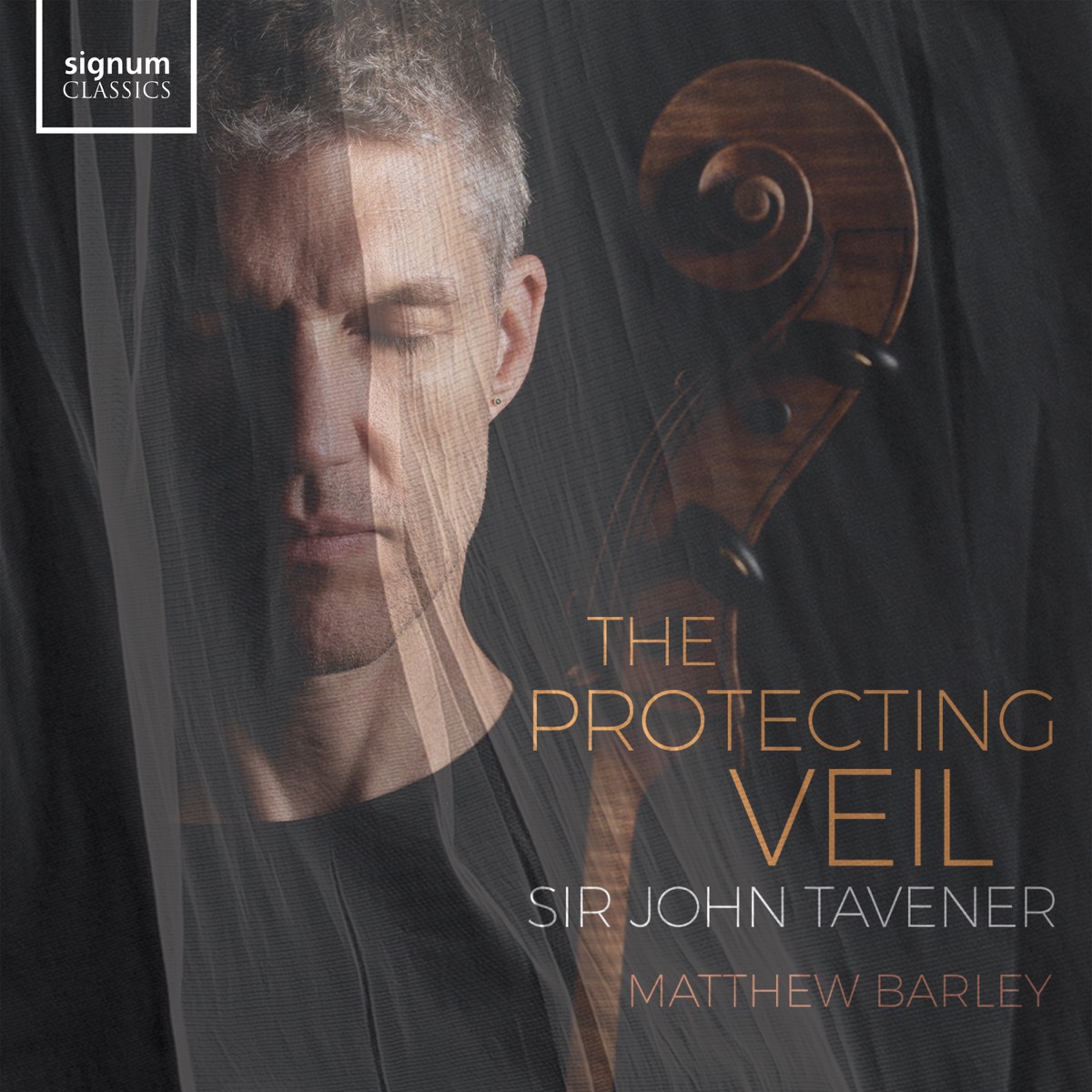 Cover: The Protecting Veil