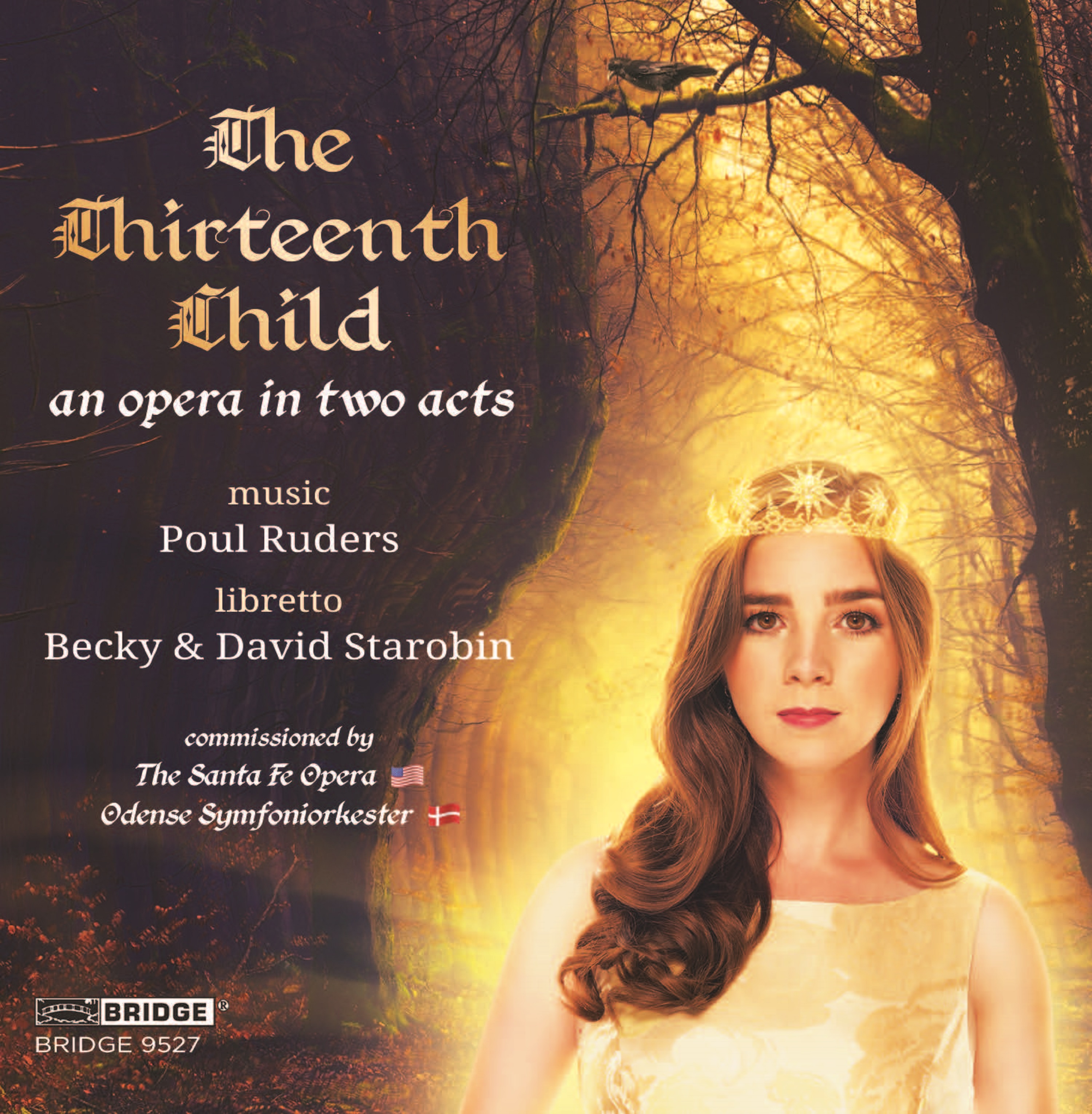 Cover: The Thirteenth Child