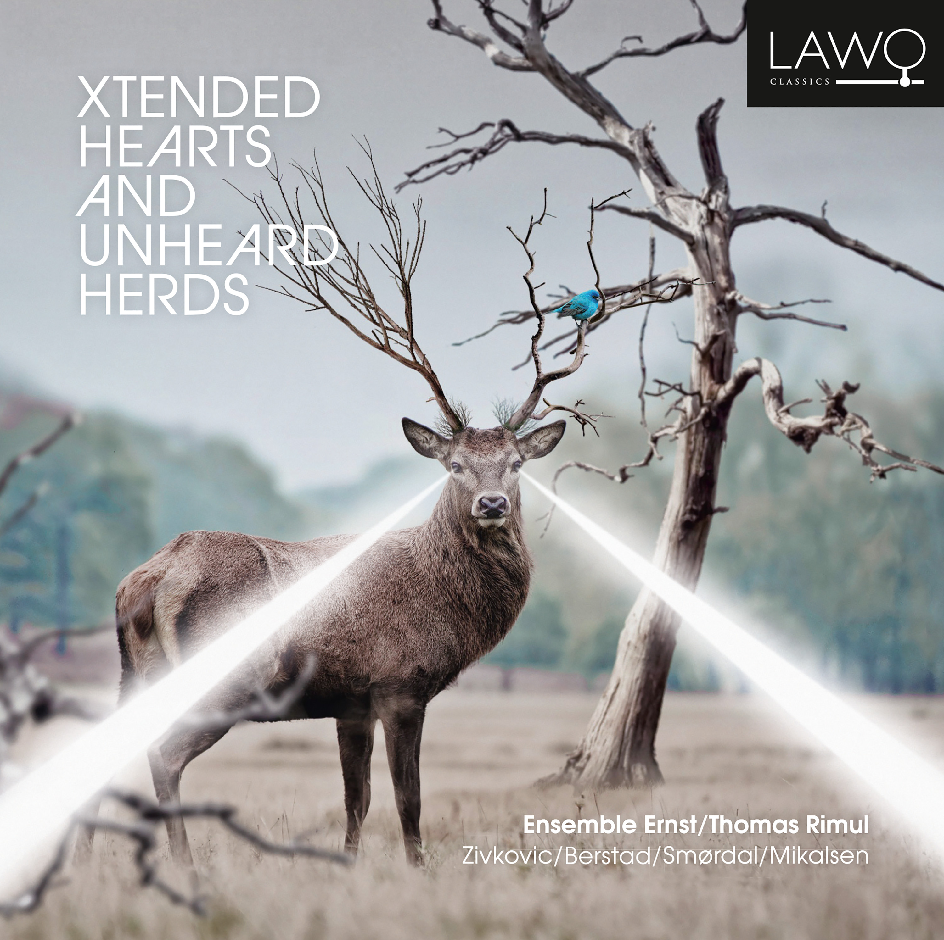 Cover: Xtended Hearts and Unheard Herds