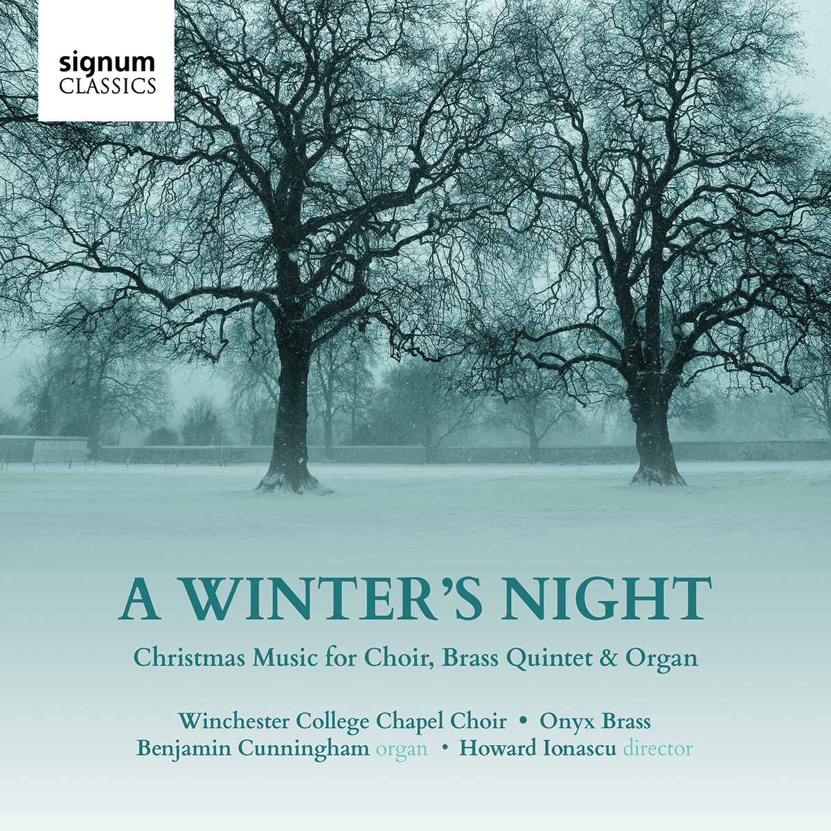 Cover: A Winter's Night