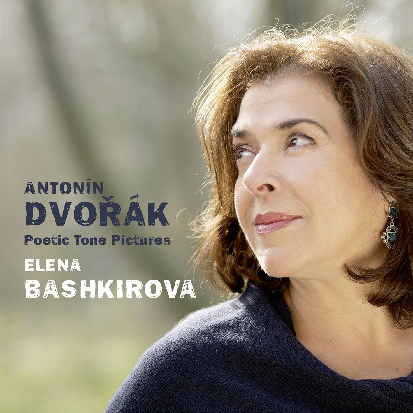 Cover: Dvořák, Poetic Tone Pictures
