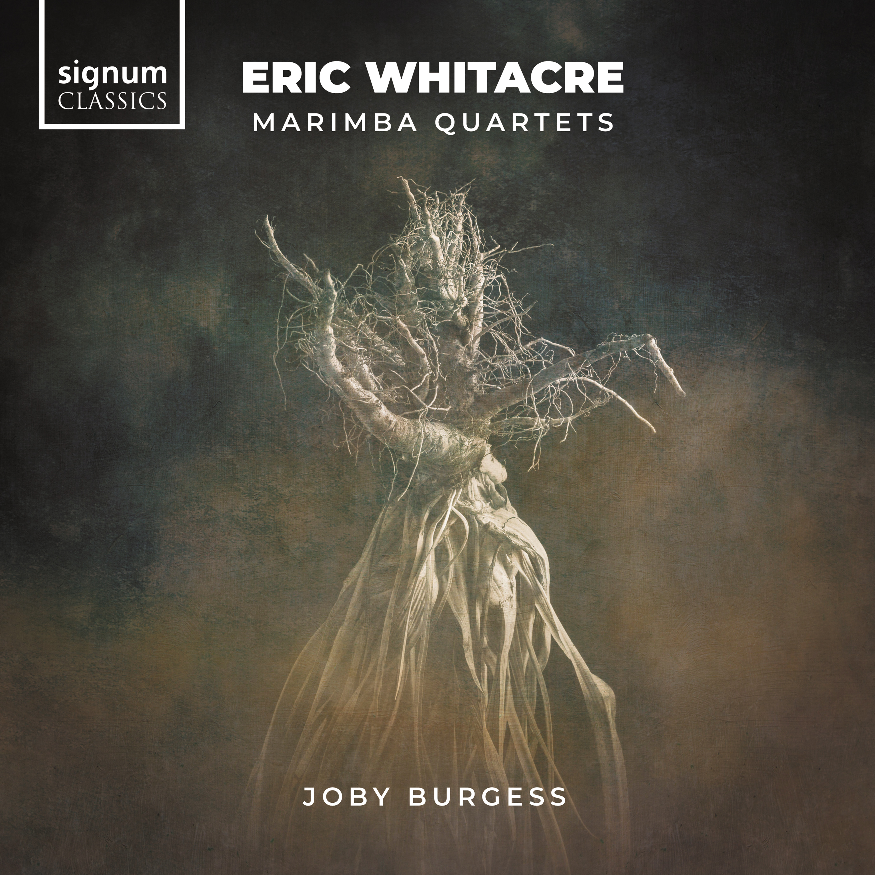 Cover: Eric Whitacre - Marimba Quartets