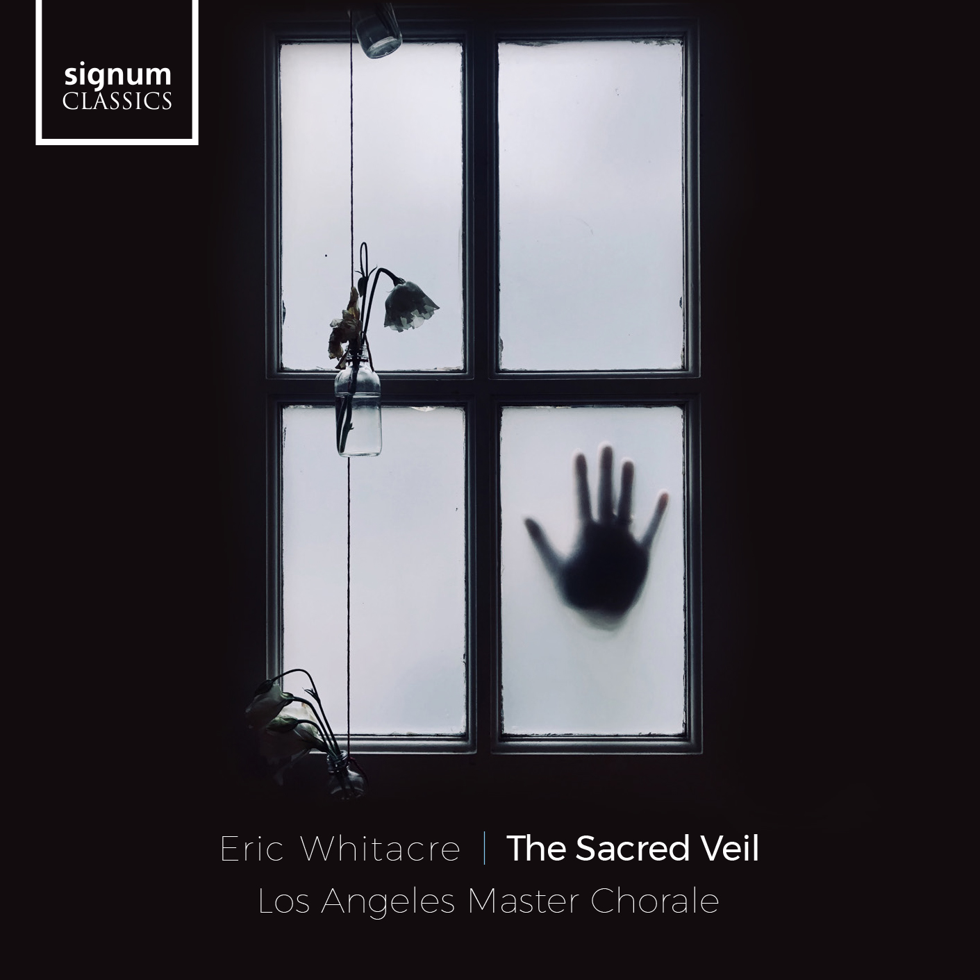 Cover: The Scared Veil