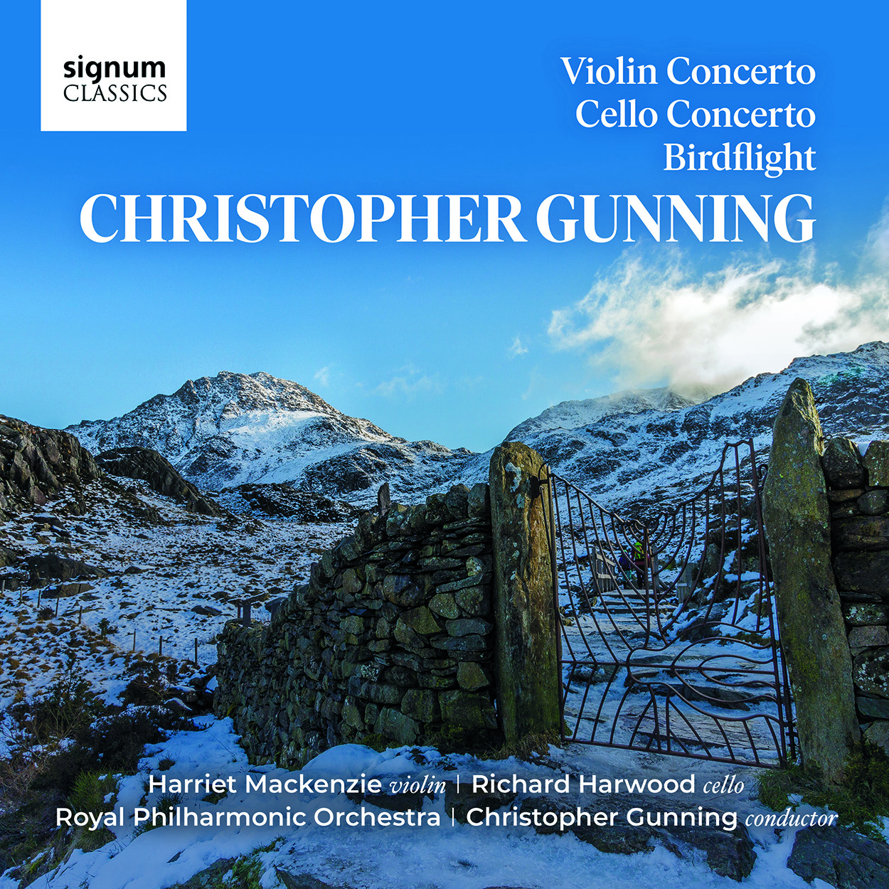 Cover: Violin Concerto, Cello Concerto & Birdflight
