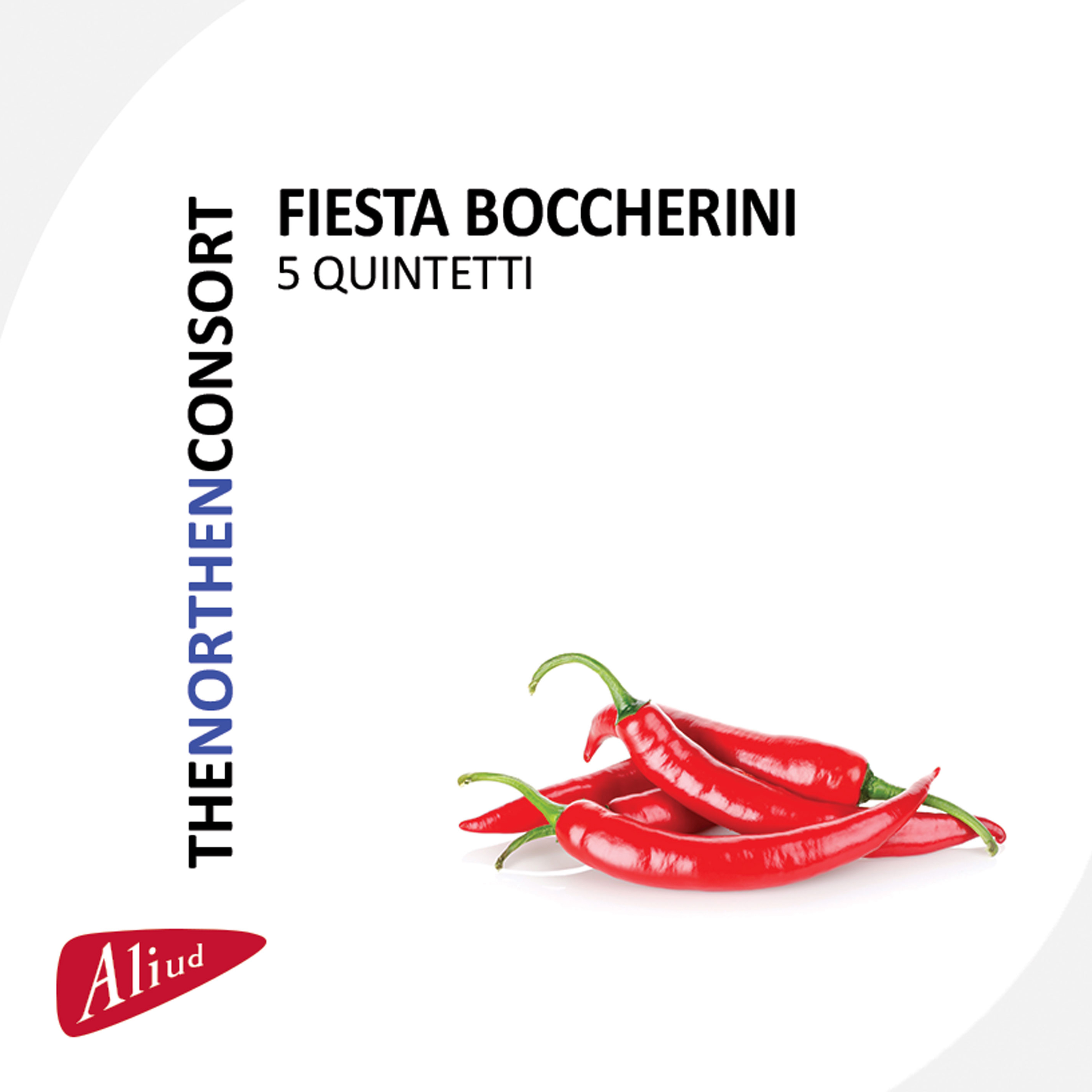 Cover: Fiesta Boccherini