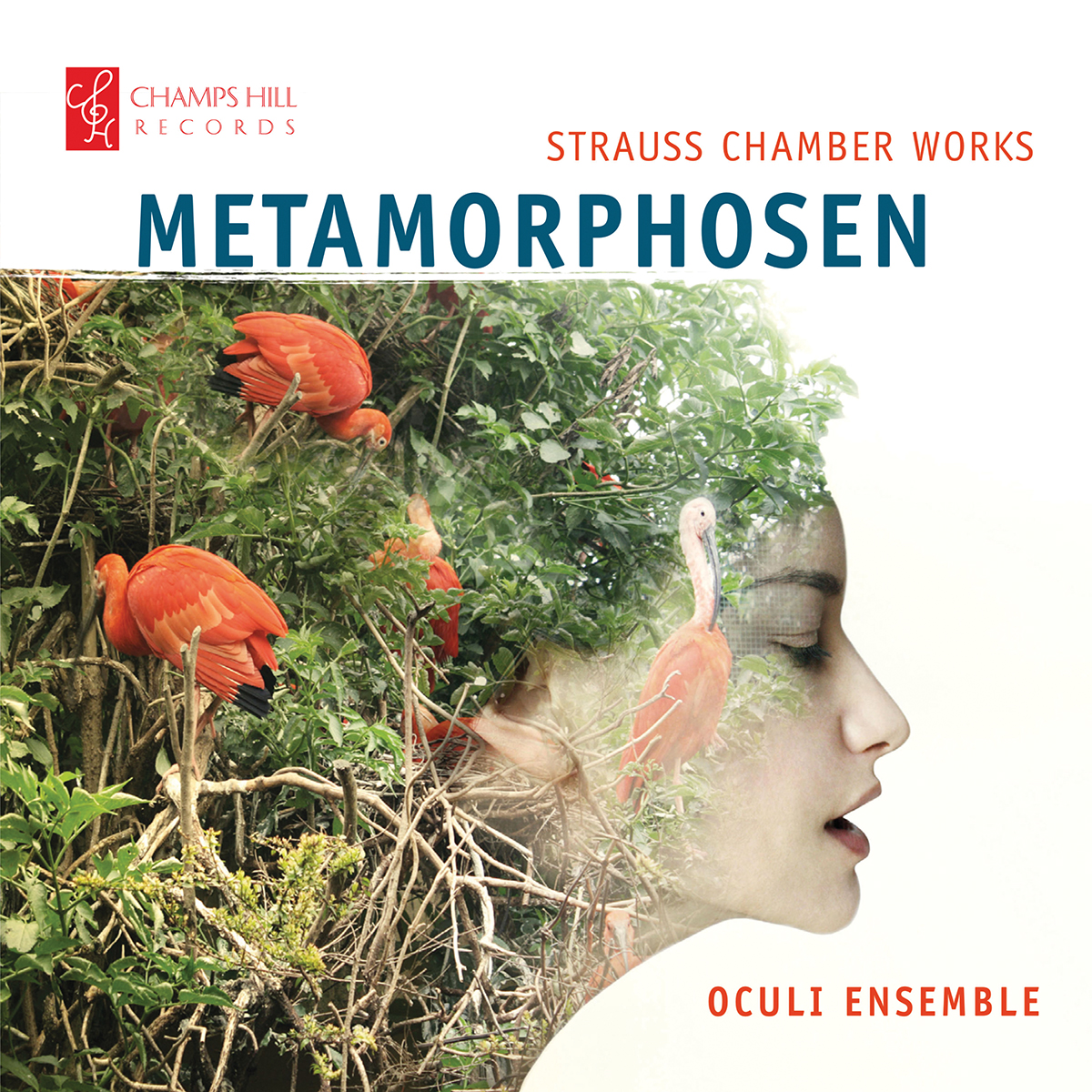 Cover: Metamorphosen