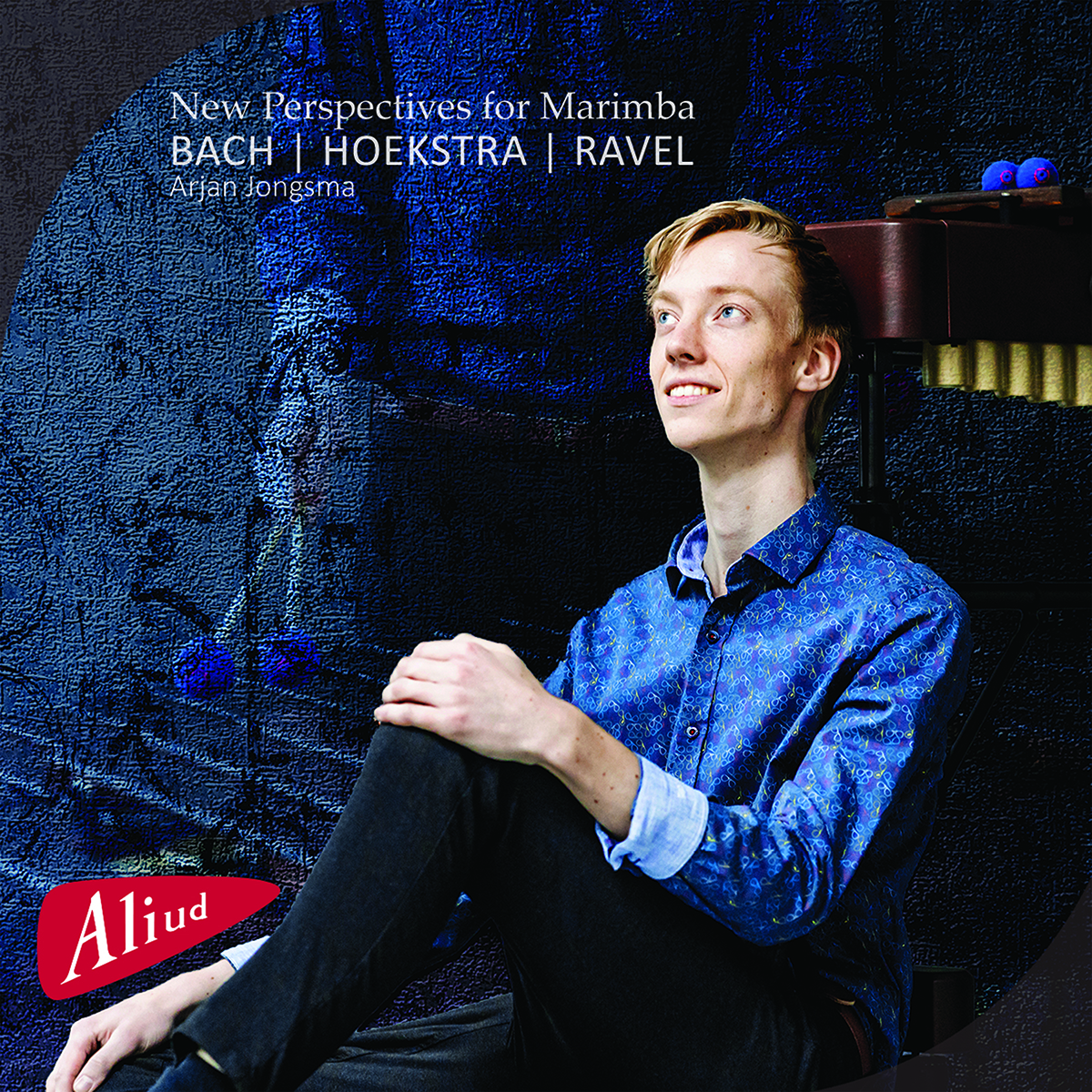 Cover: New Perspectives for Marimba (CD+BluRay Audio)