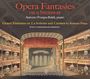 Cover: Opera Fantasies on a Steinway