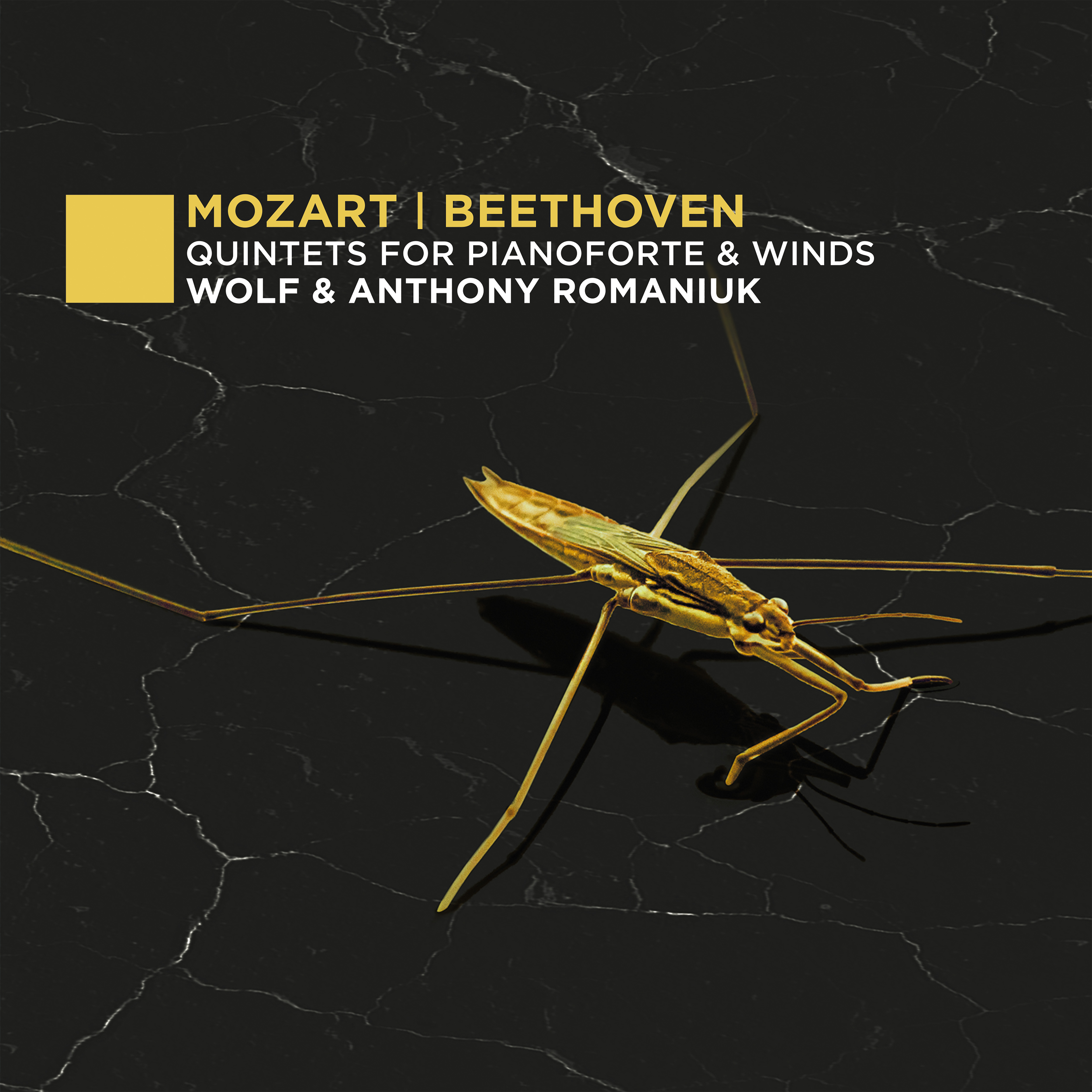 Cover: Quintets for Pianoforte & Winds