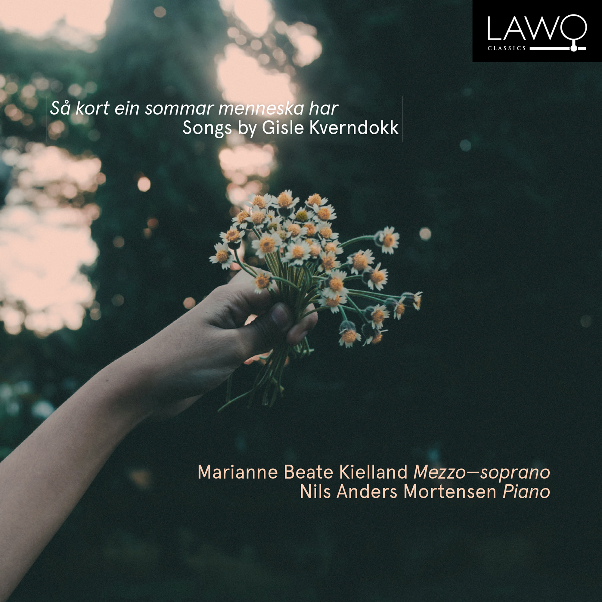 Cover: Så kort ein sommar menneska har - Songs by Gisle Kverndokk
