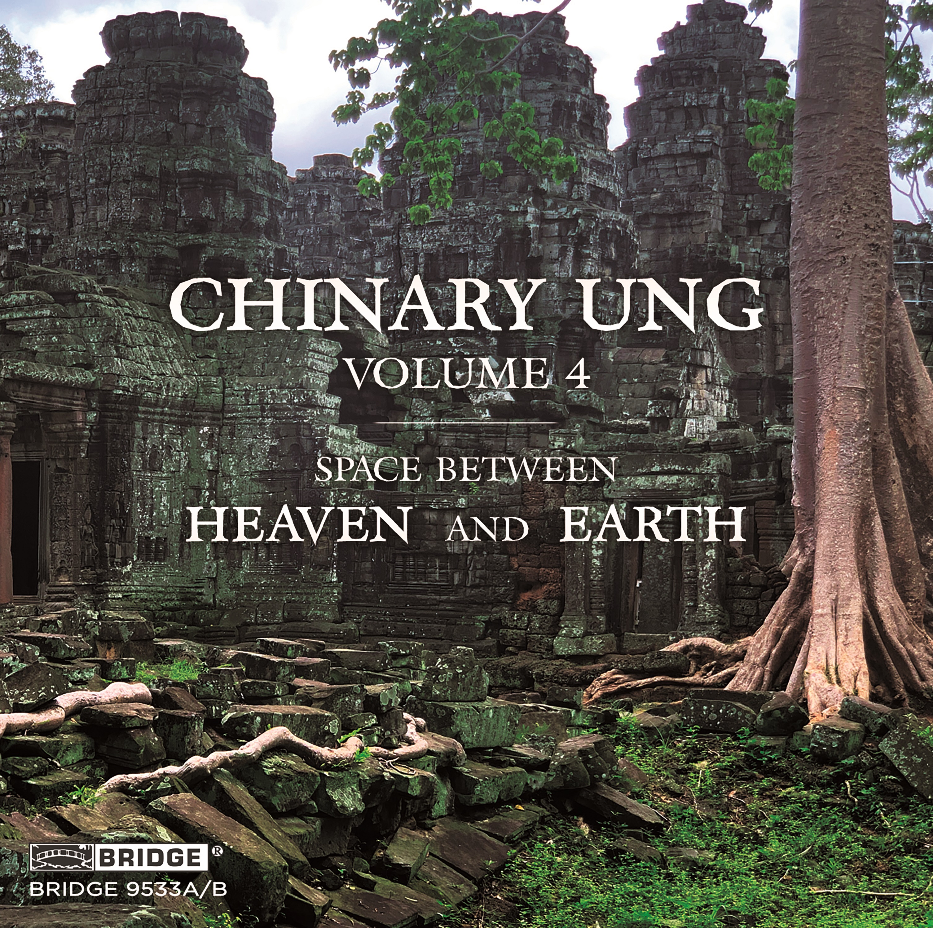 Cover: Space Between Heaven and Earth