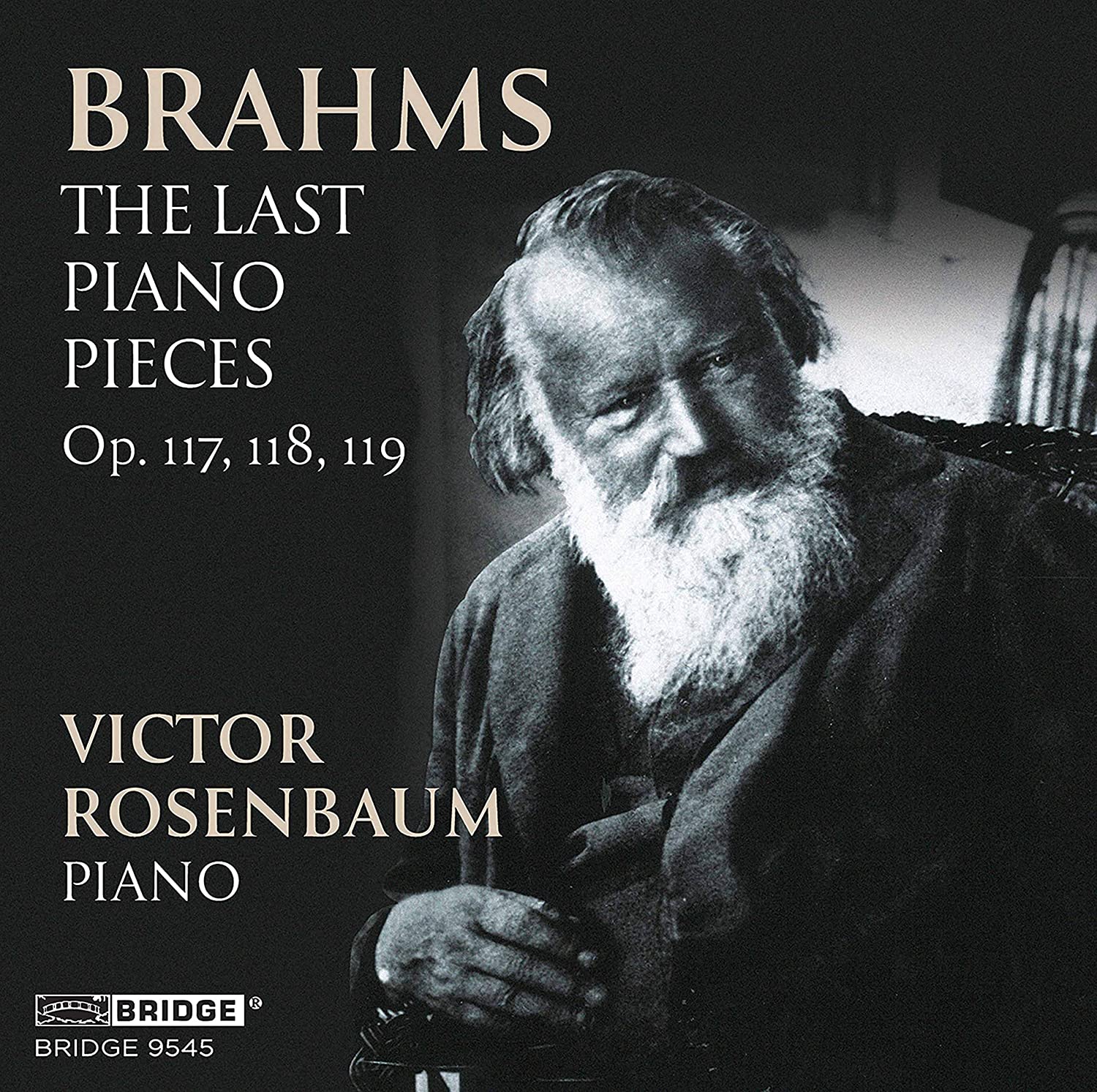 Cover: The Last Piano Pieces