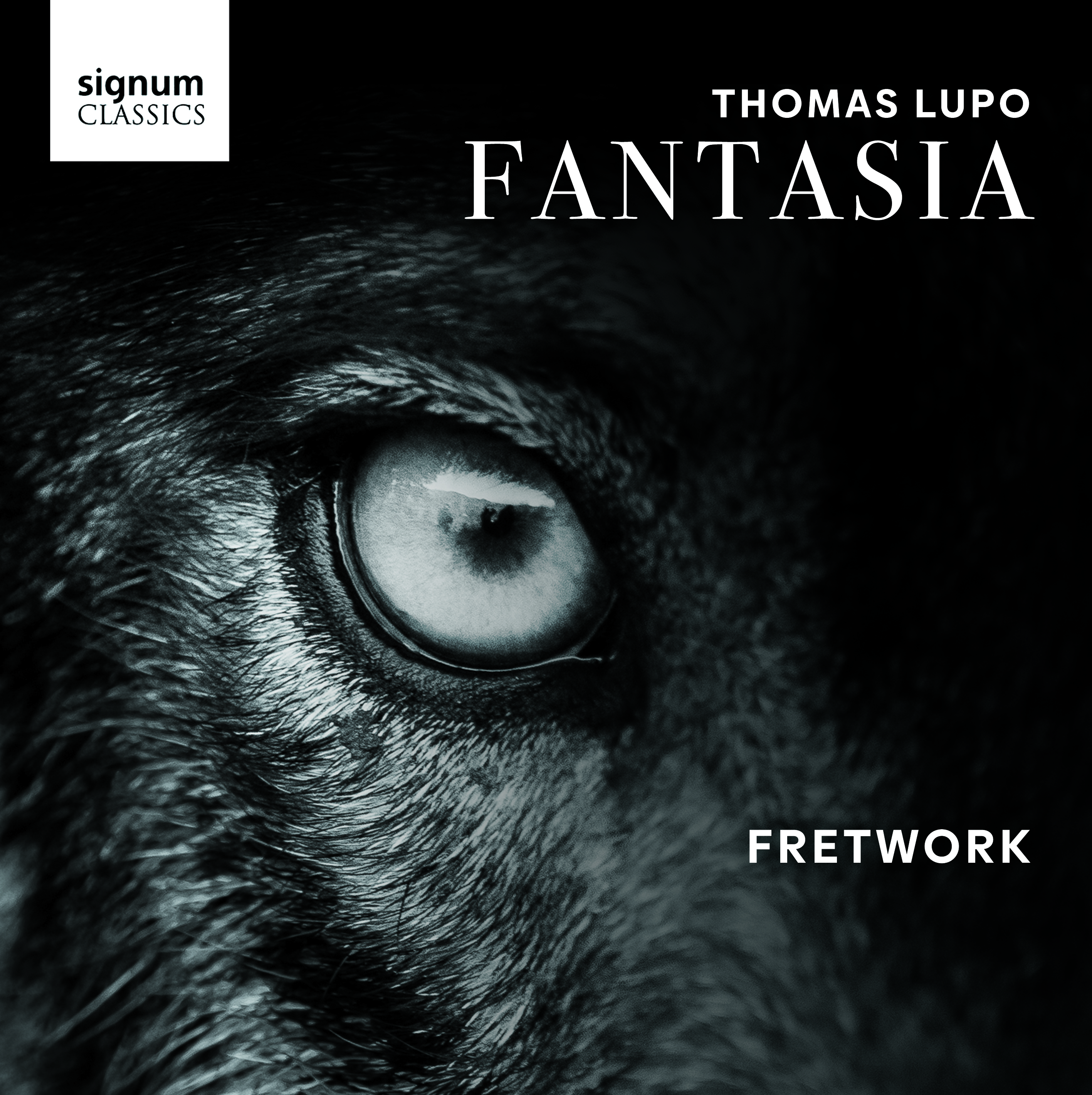 Cover: Fantasia