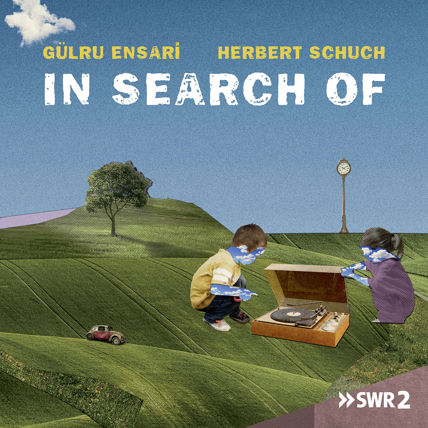 Cover: In Search of
