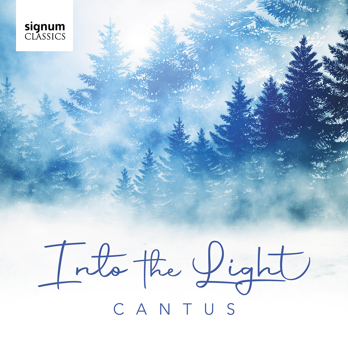 Cover: Into the Light