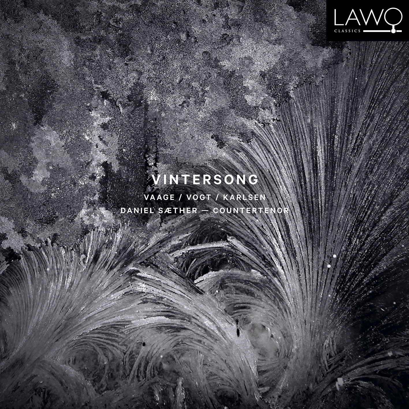 Cover: Vintersong - Vaage/Vogt/Karlsen