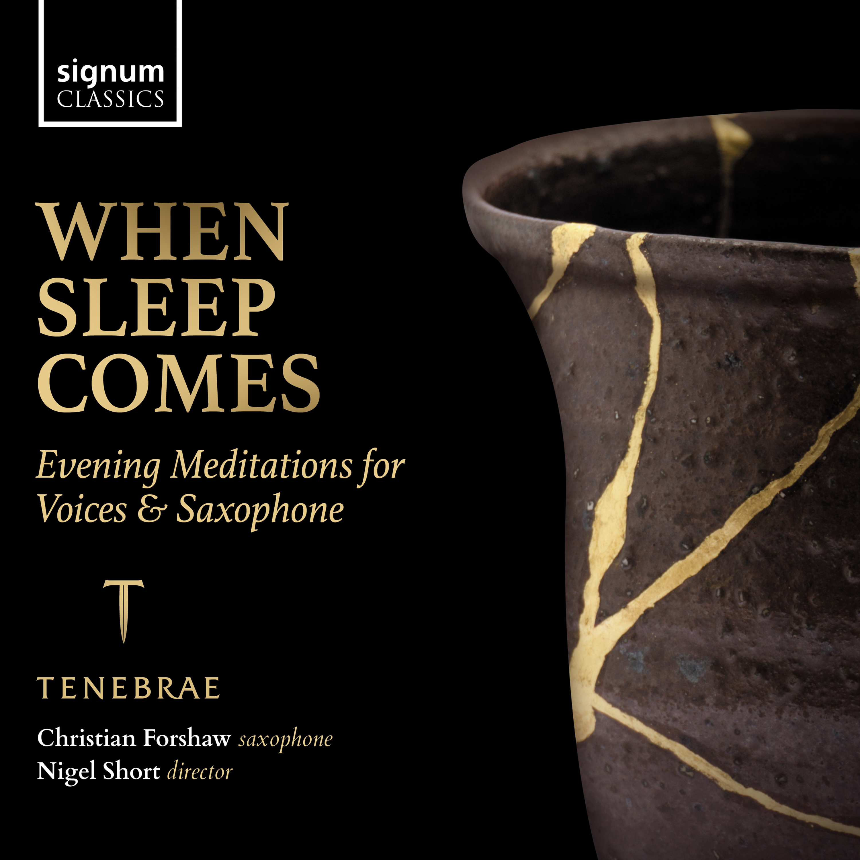 Cover: When Sleep Comes