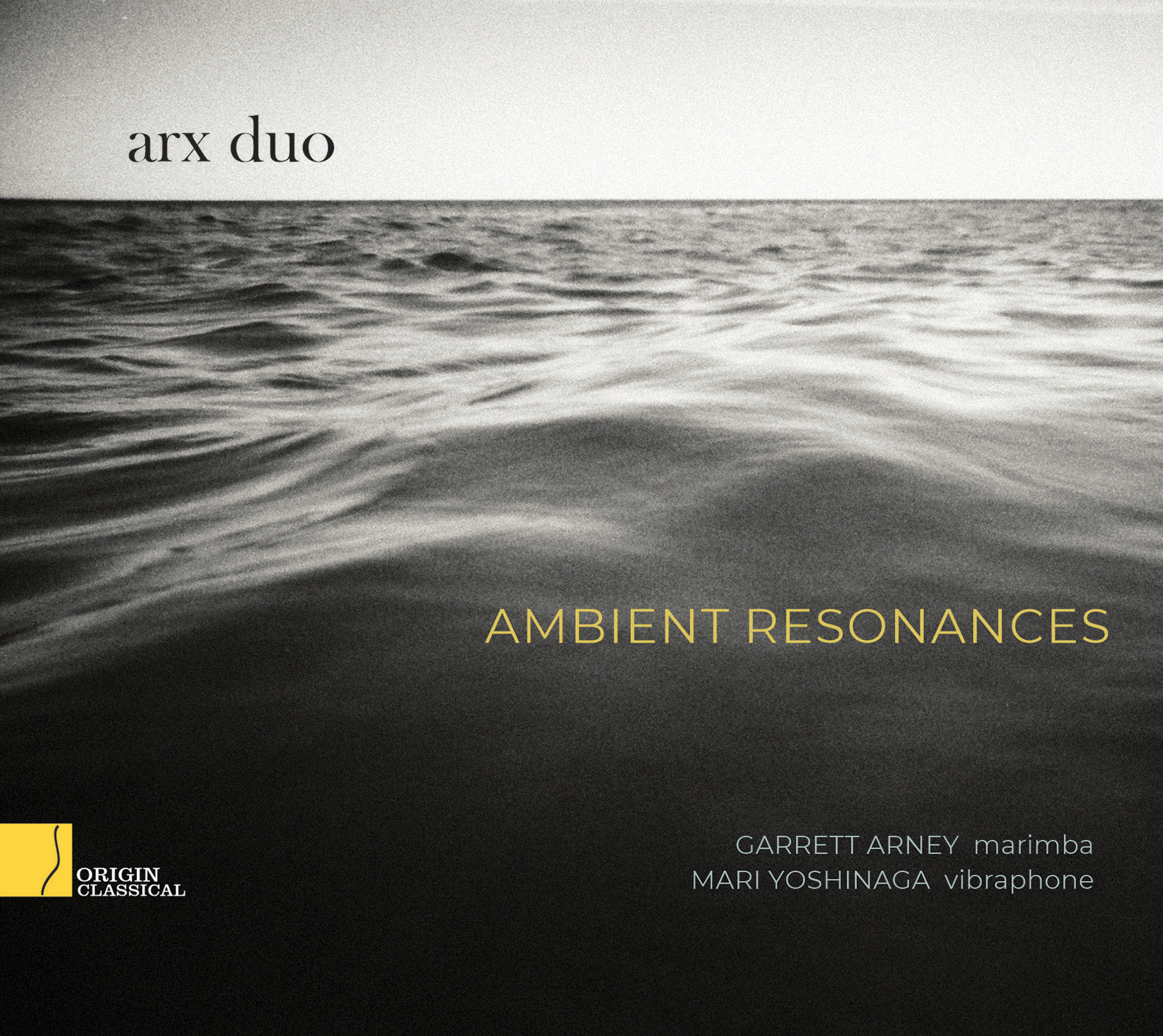 Cover: Ambient Resonances