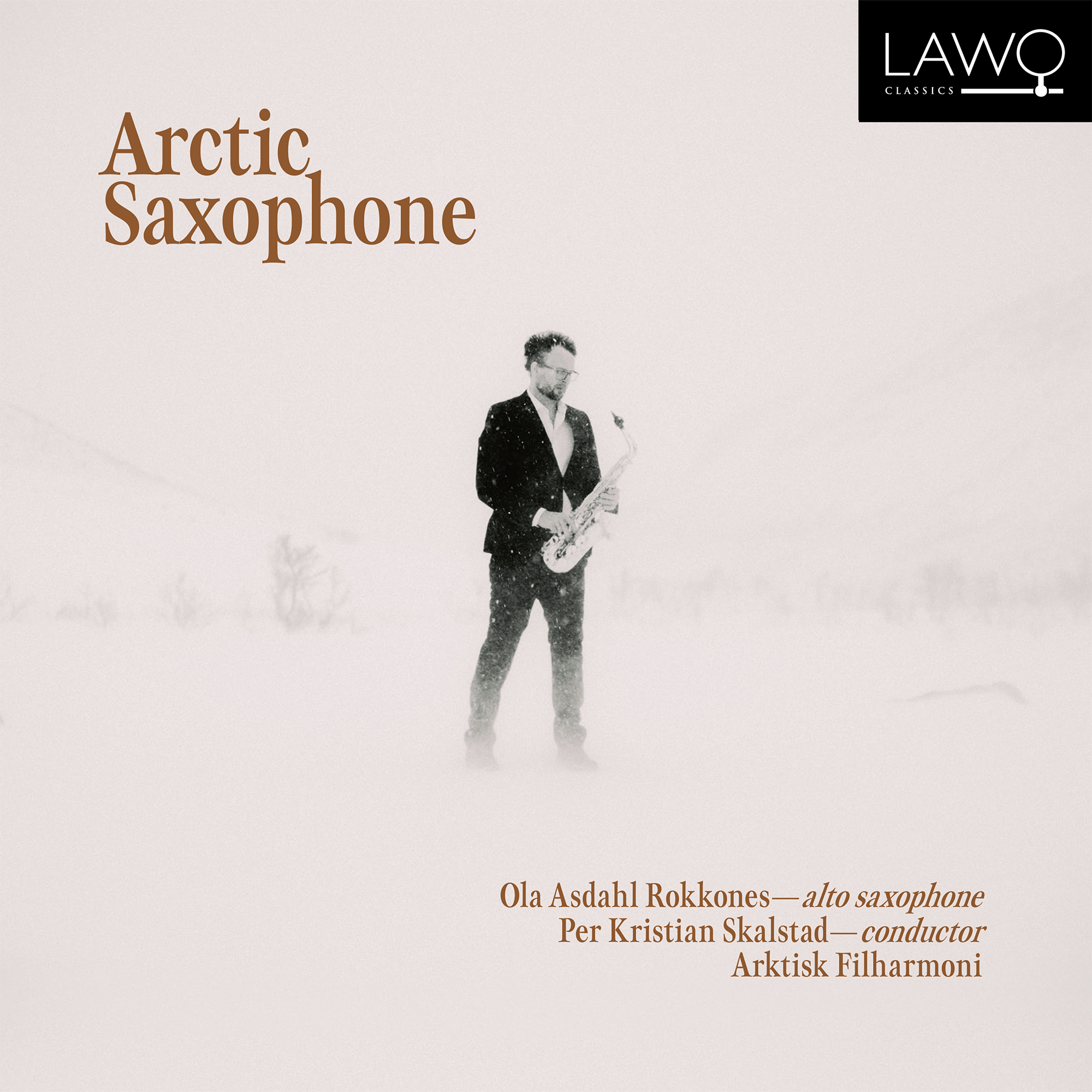 Cover: Arctic Saxophone