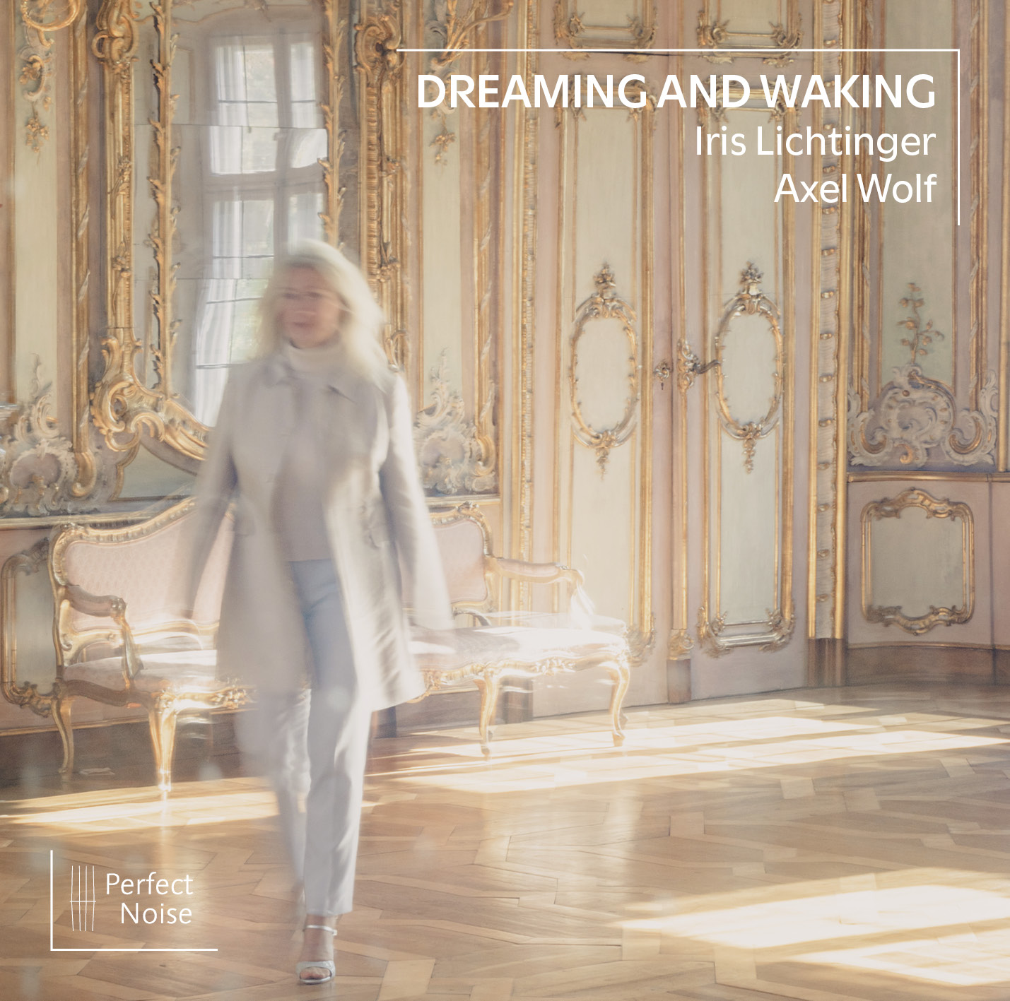 Cover: Dreaming and Waking