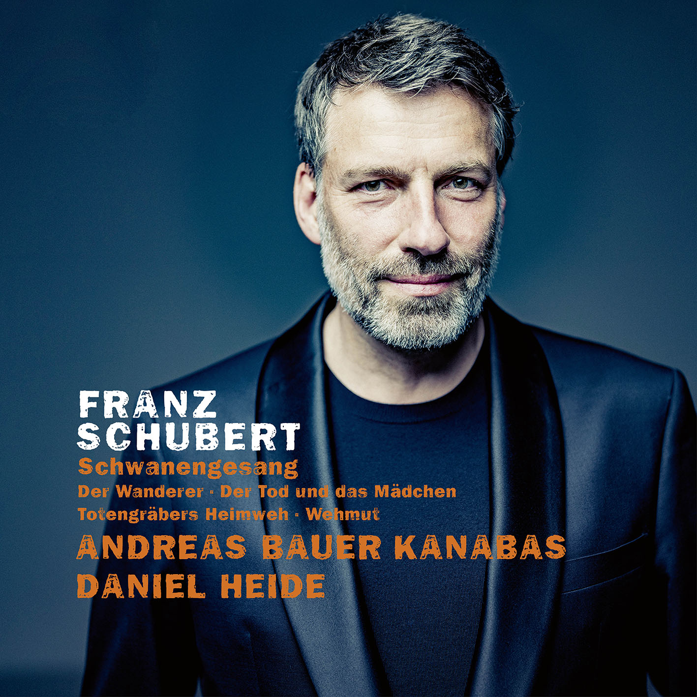 Cover: Franz Schubert, Schwanengesang