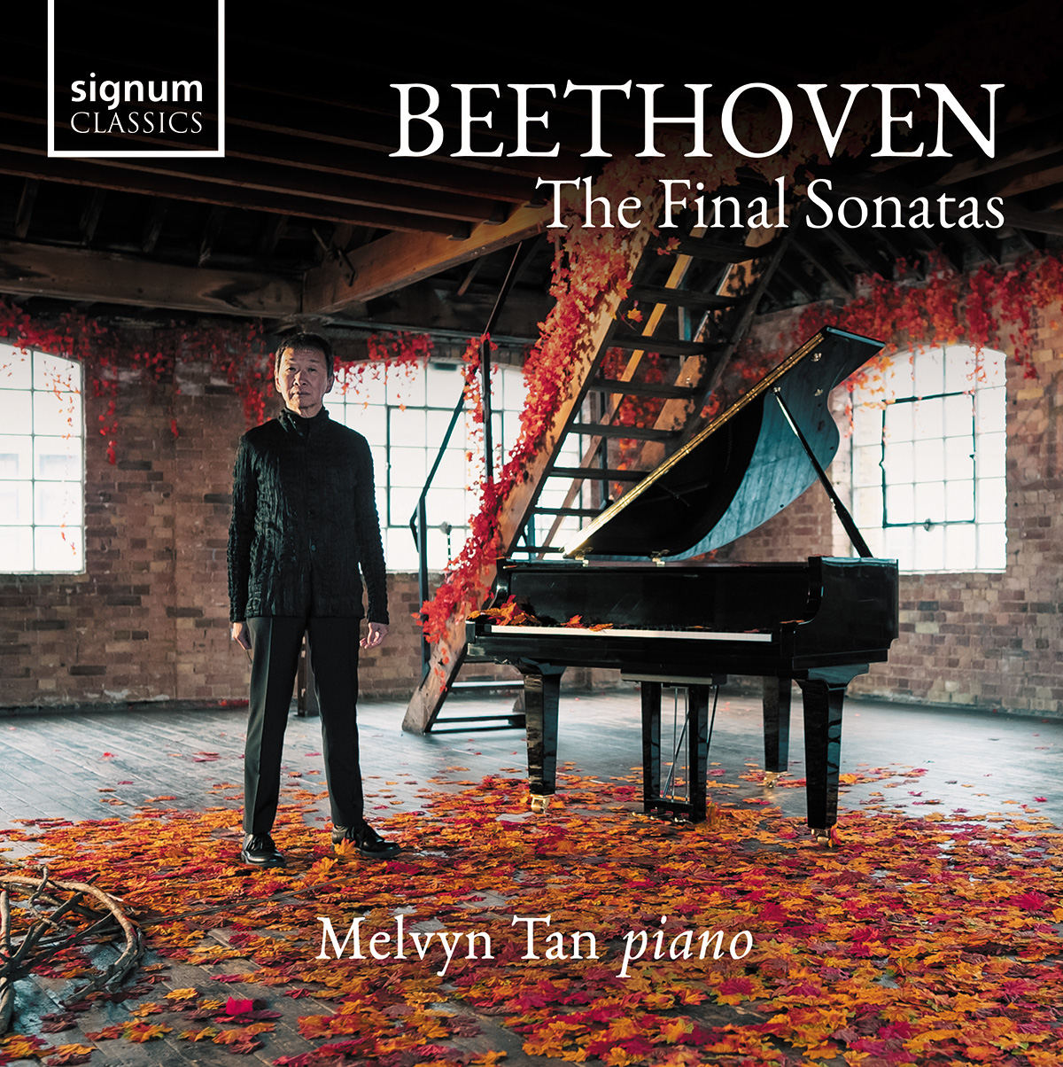 Cover: Beethoven The Final Sonatas