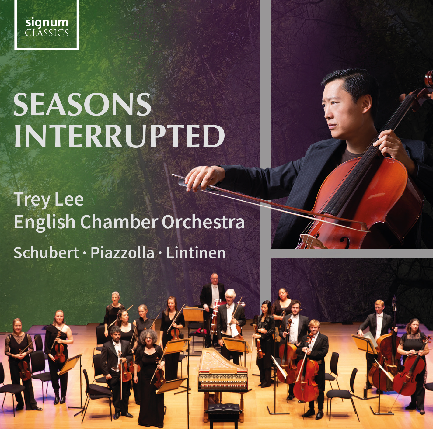 Cover: Seasons Interrupted
