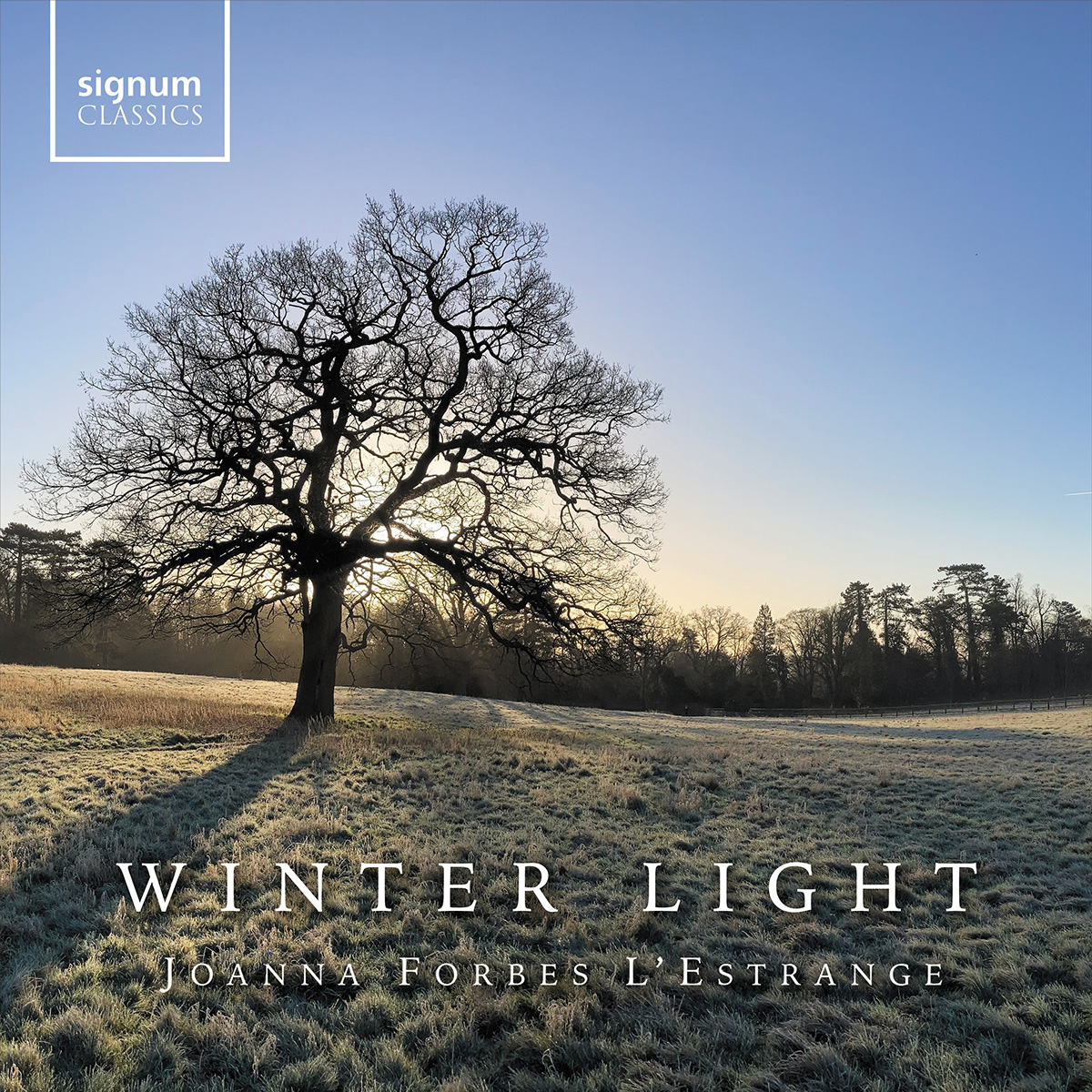 Cover: Winter Light