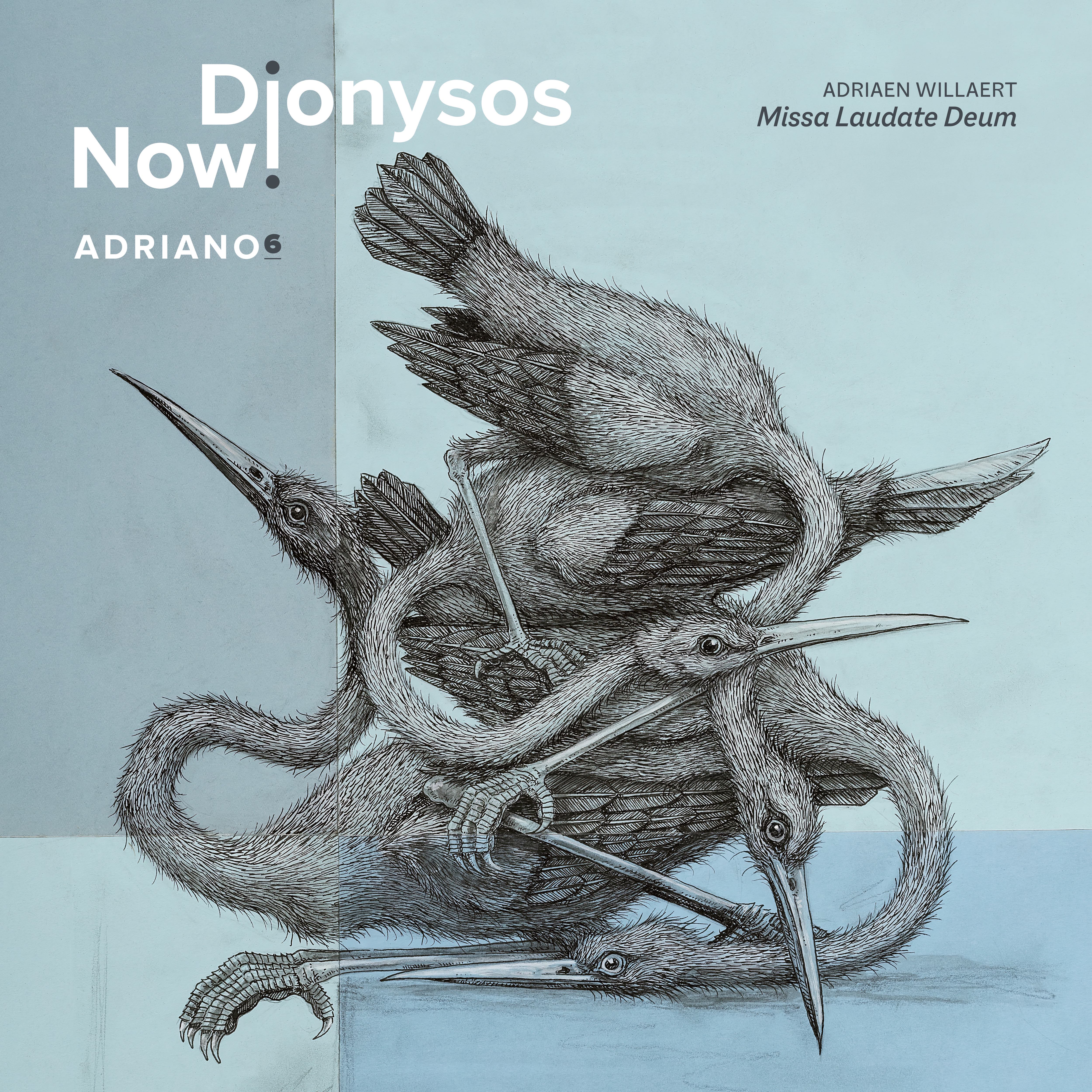Cover: Adriano 6