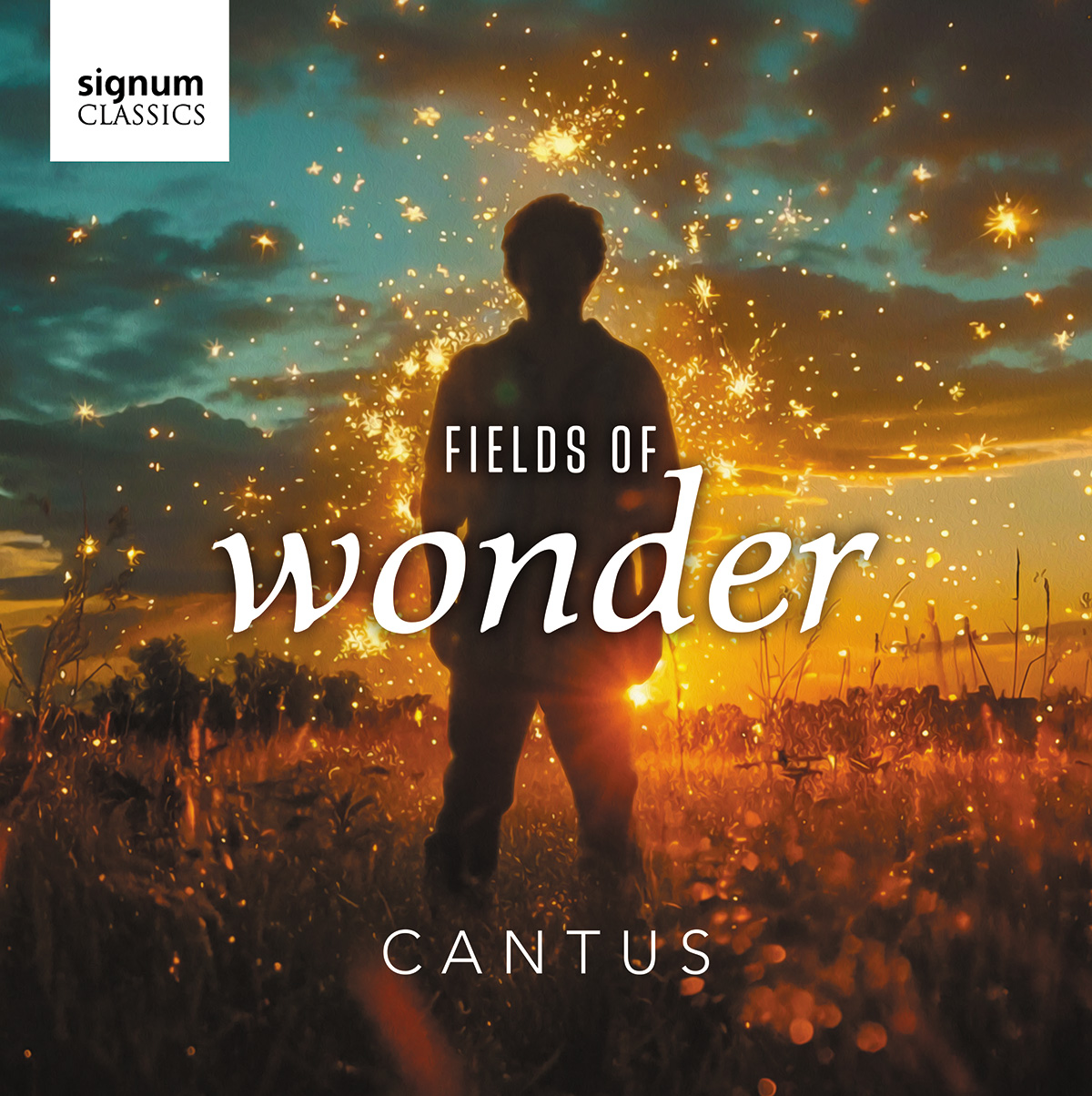 Cover: Fields of Wonder