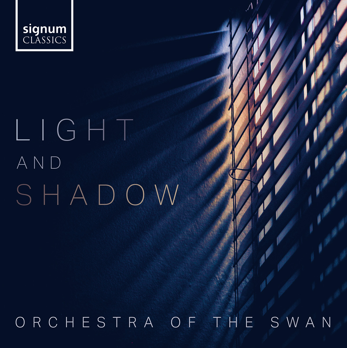 Cover: Light and Shadow