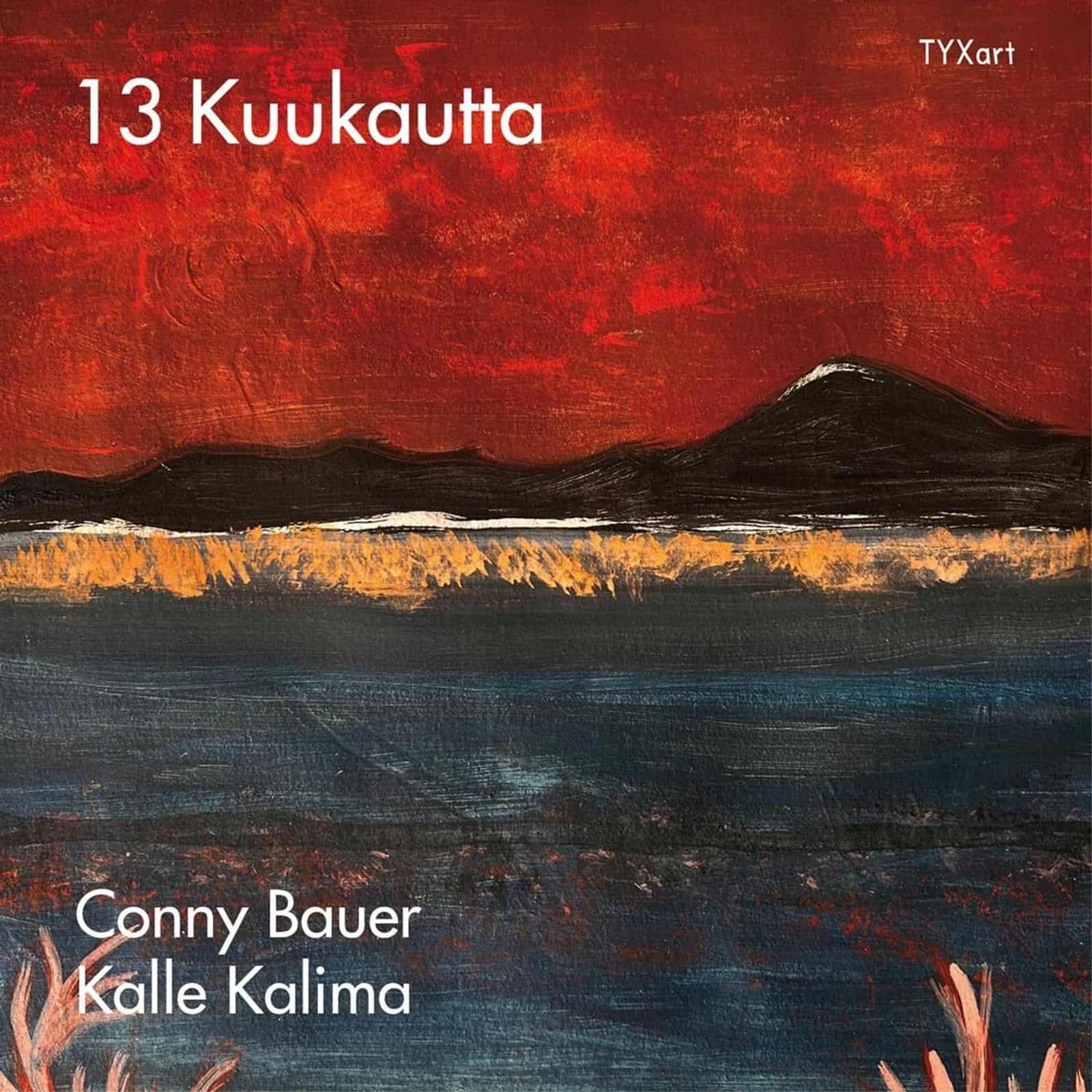 Cover: 13 Kuukautta