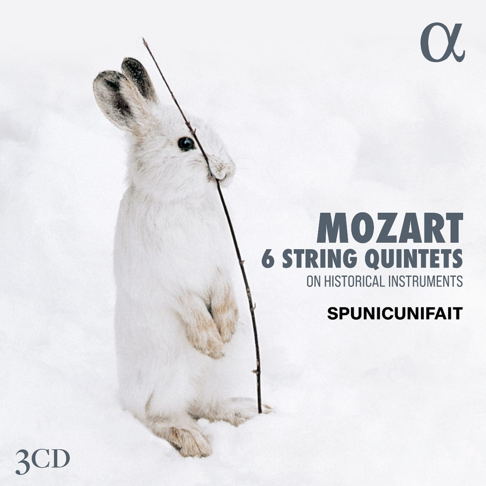Cover: 6 String Quintets on Historical Instruments