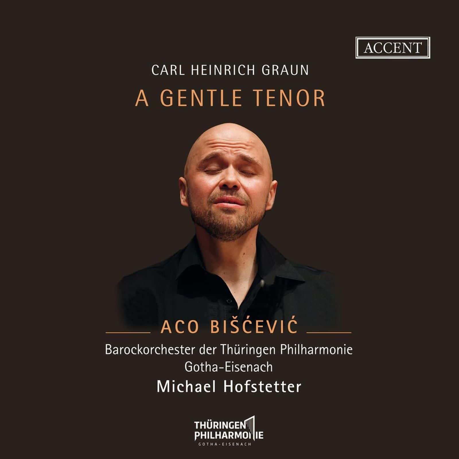 Cover: A Gentle Tenor