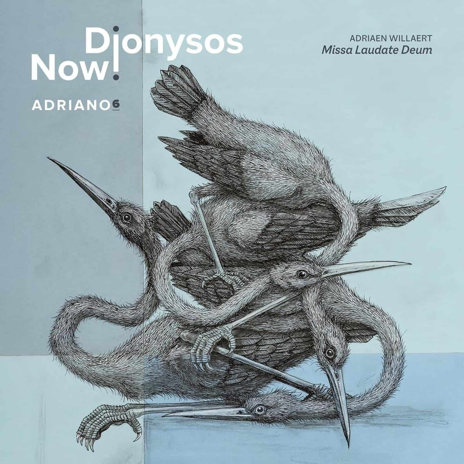 Cover: Adriano 6
