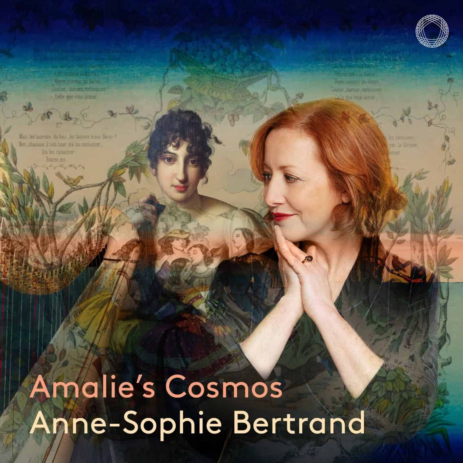 Cover: Amalie’s Cosmos
