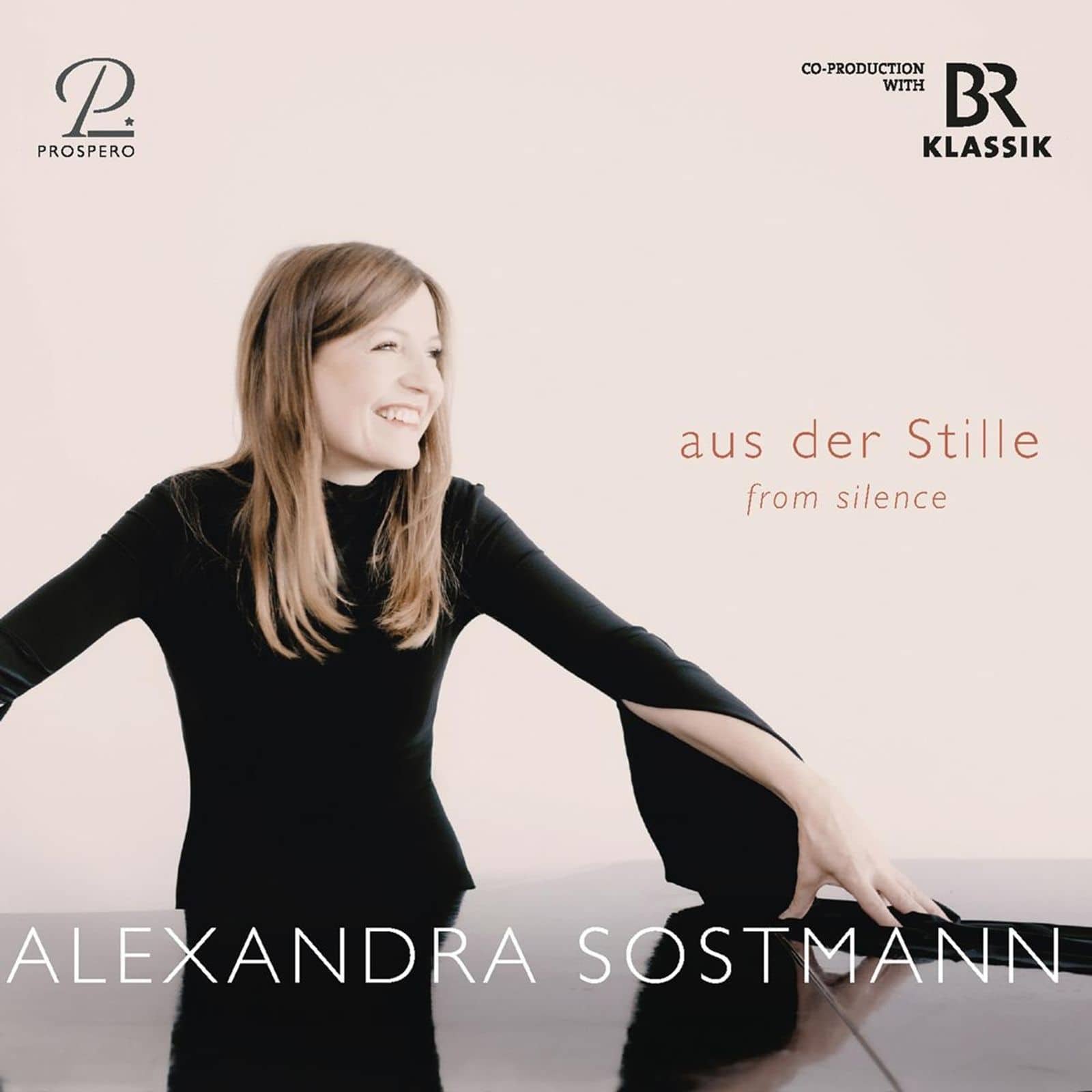 Cover: Aus der Stille