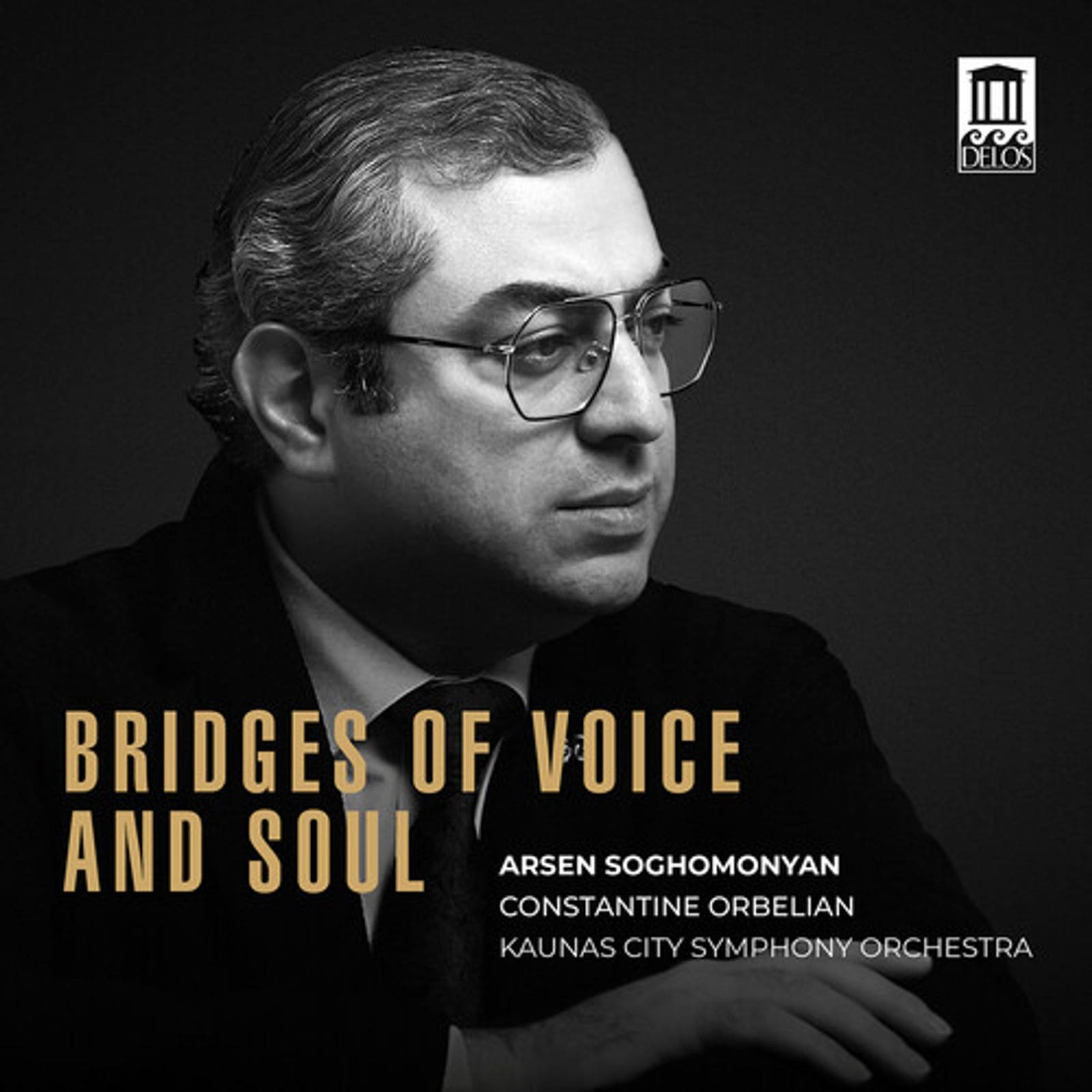 Cover: Bridges of Voice and Soul