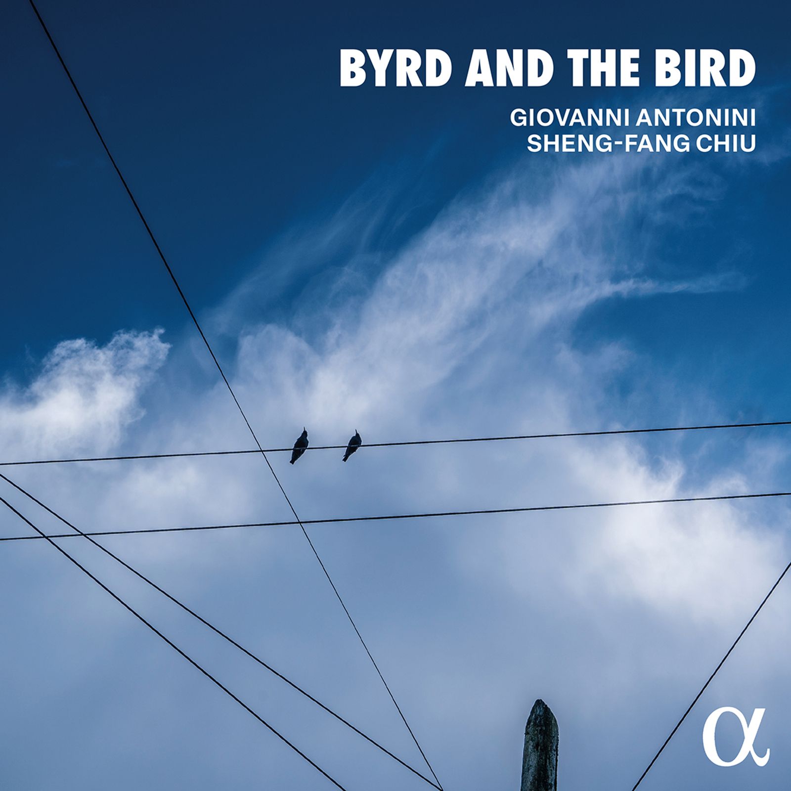 Cover: Byrd and the Bird