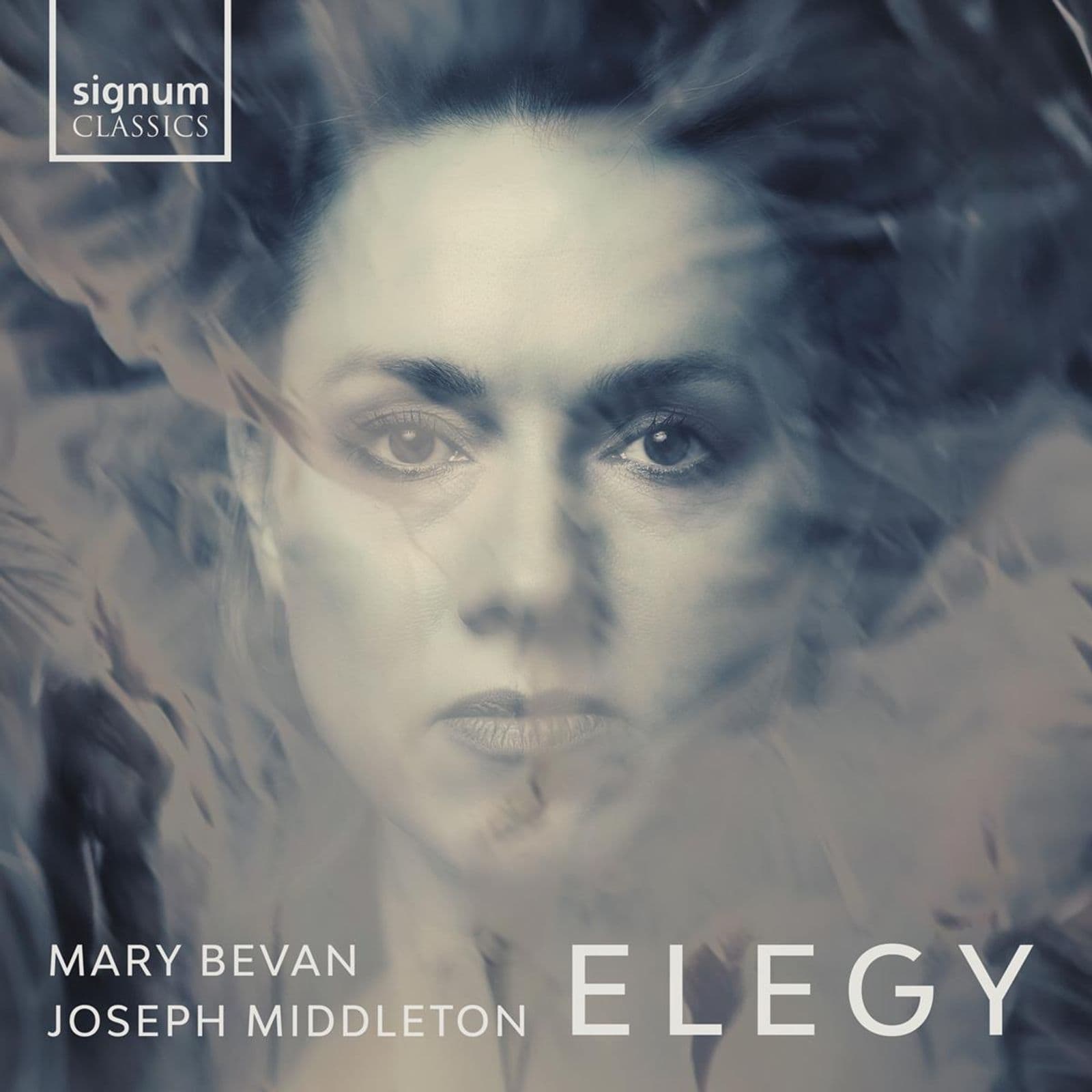 Cover: Elegy