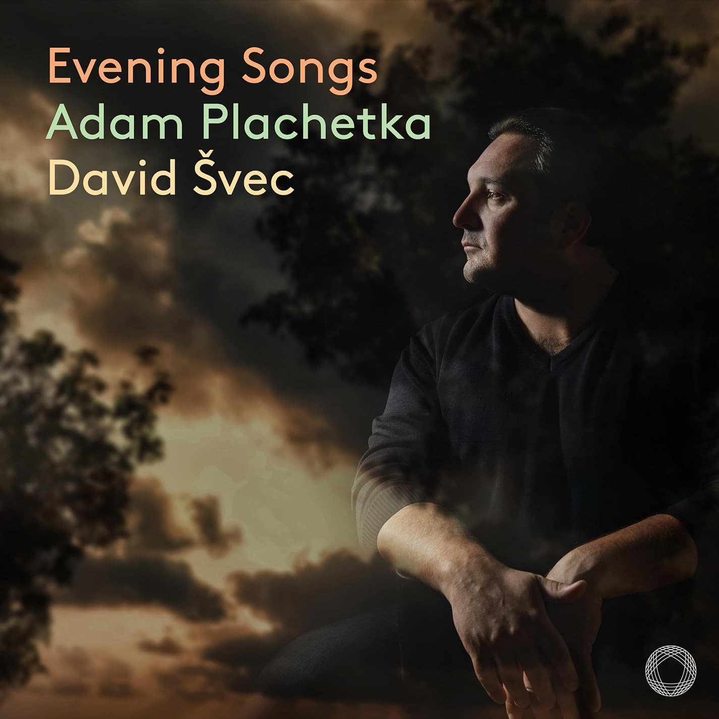 Cover: Evening Songs