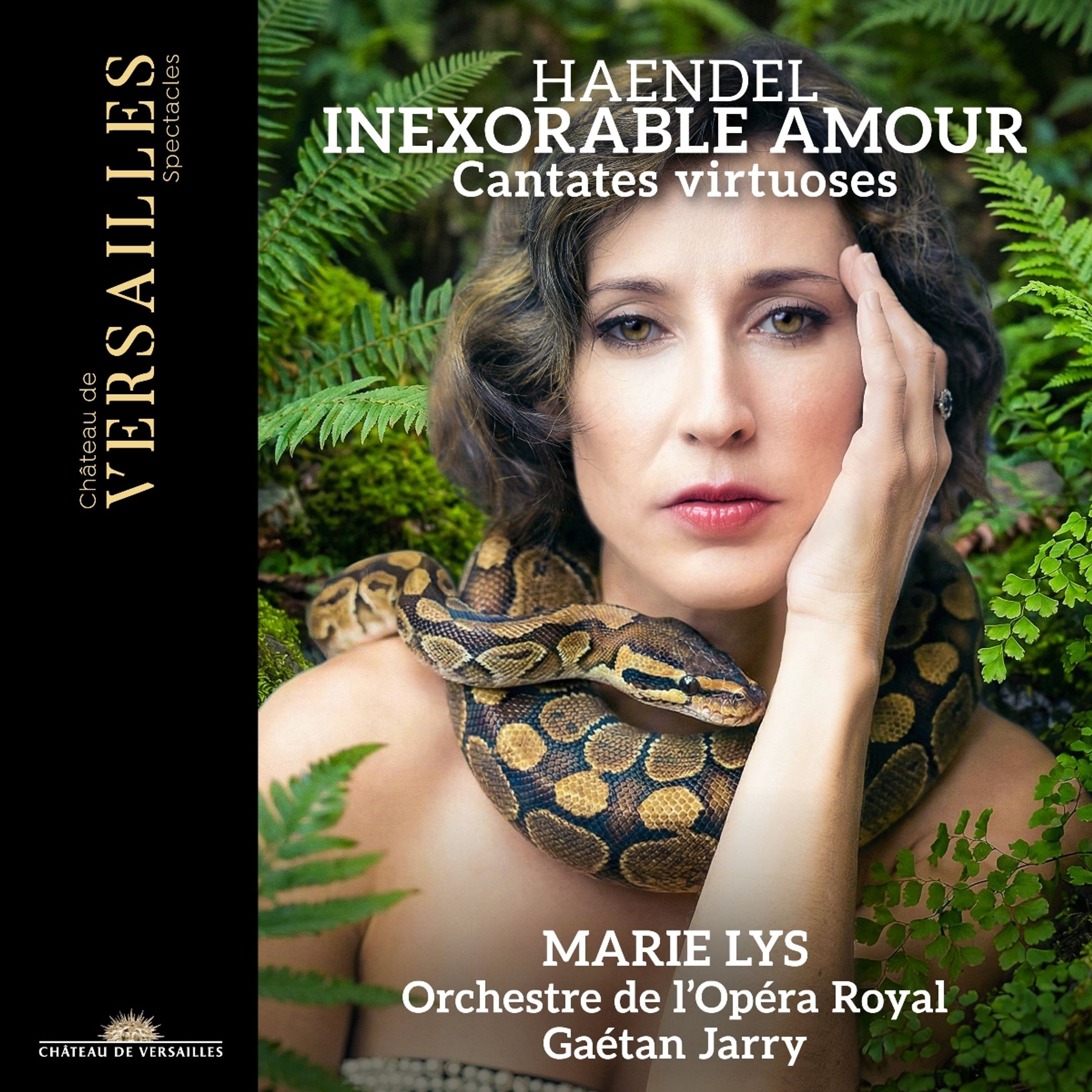 Cover: Inexorable Amour