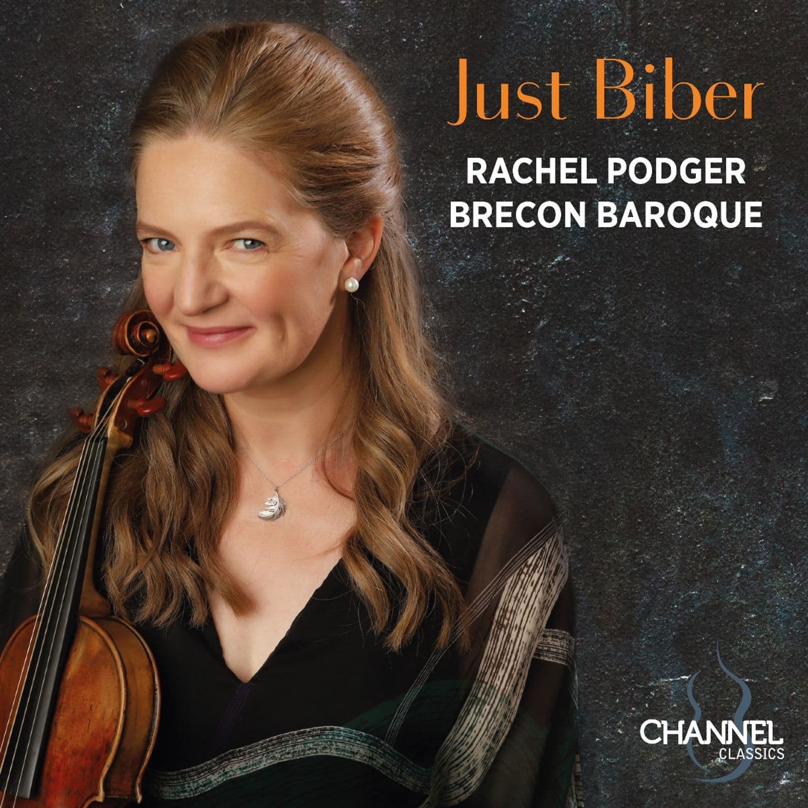 Cover: Just Biber